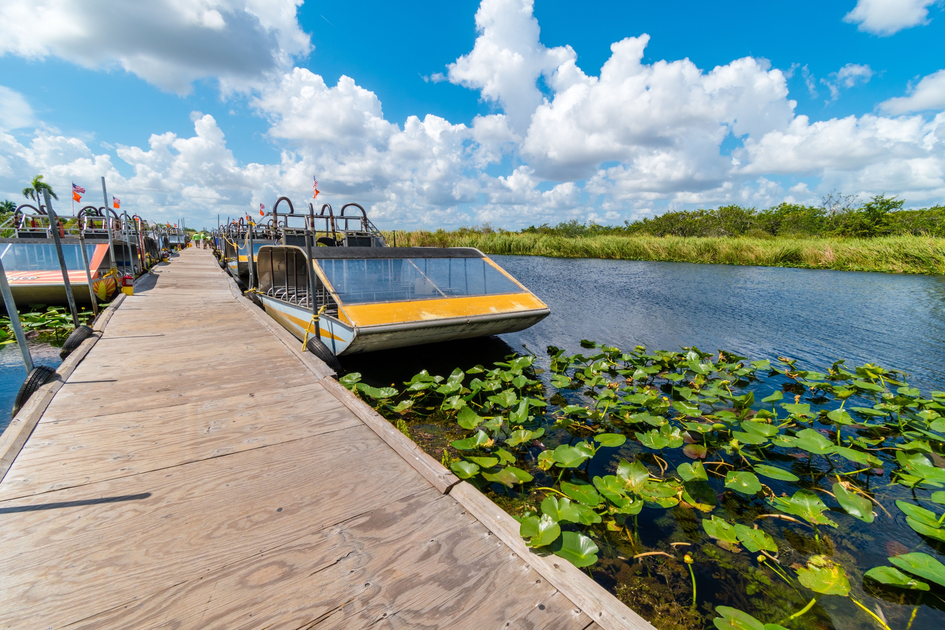 Everglades National Park, Florida, US