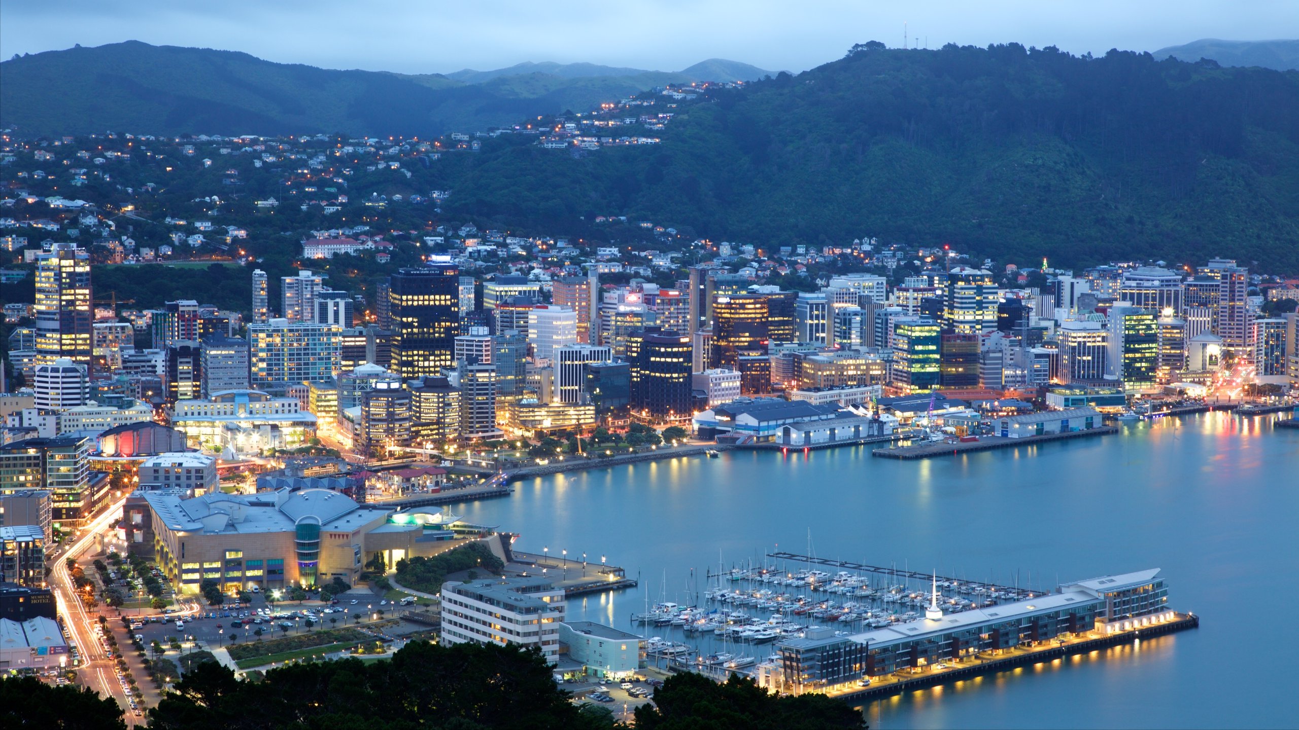 Wellington, NZ