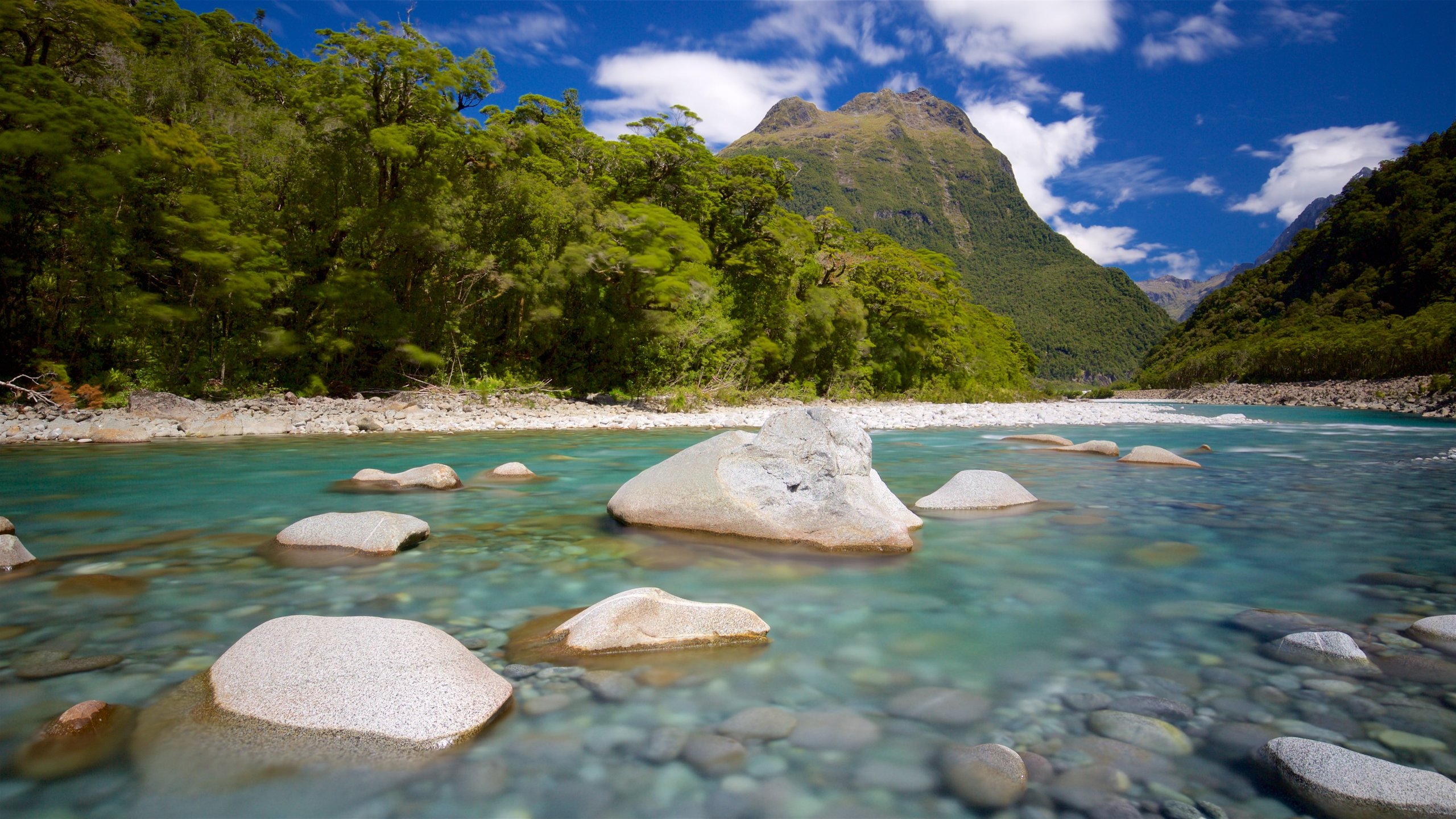 Fiordland National Park, Te Anau, Southland, NZ