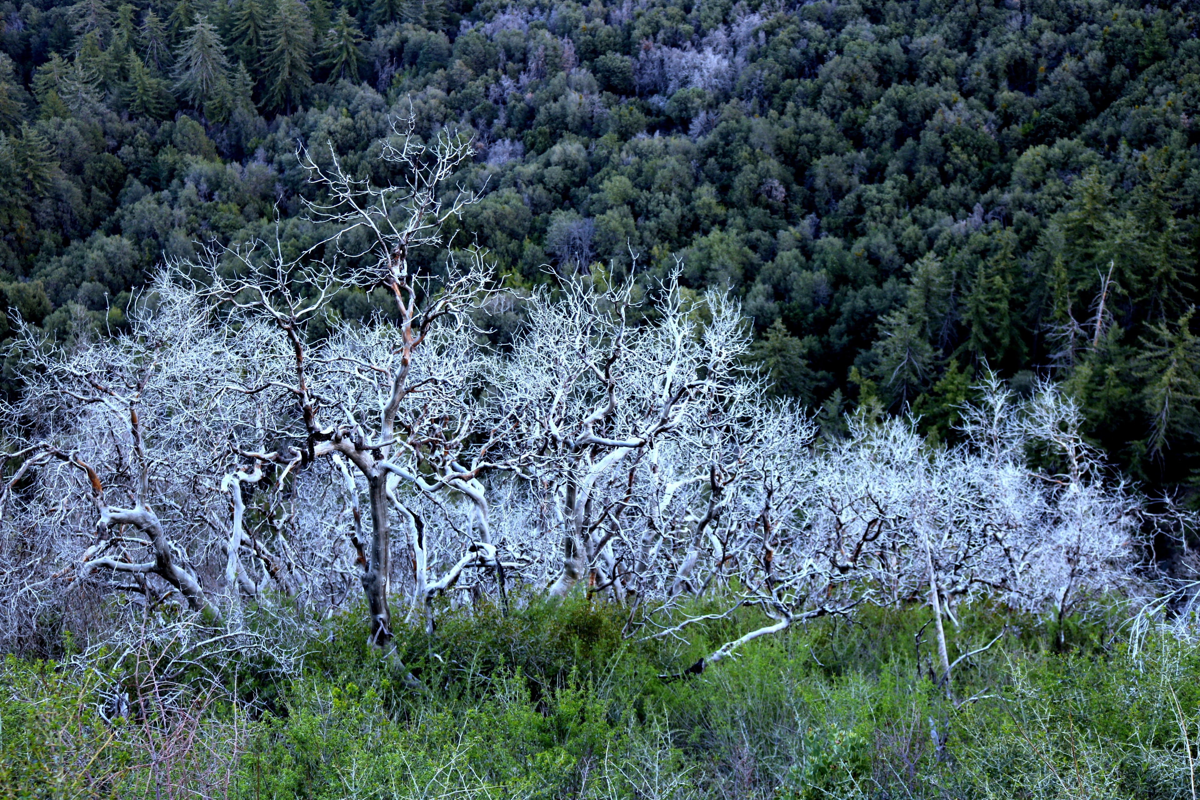 Palmdale, California, US