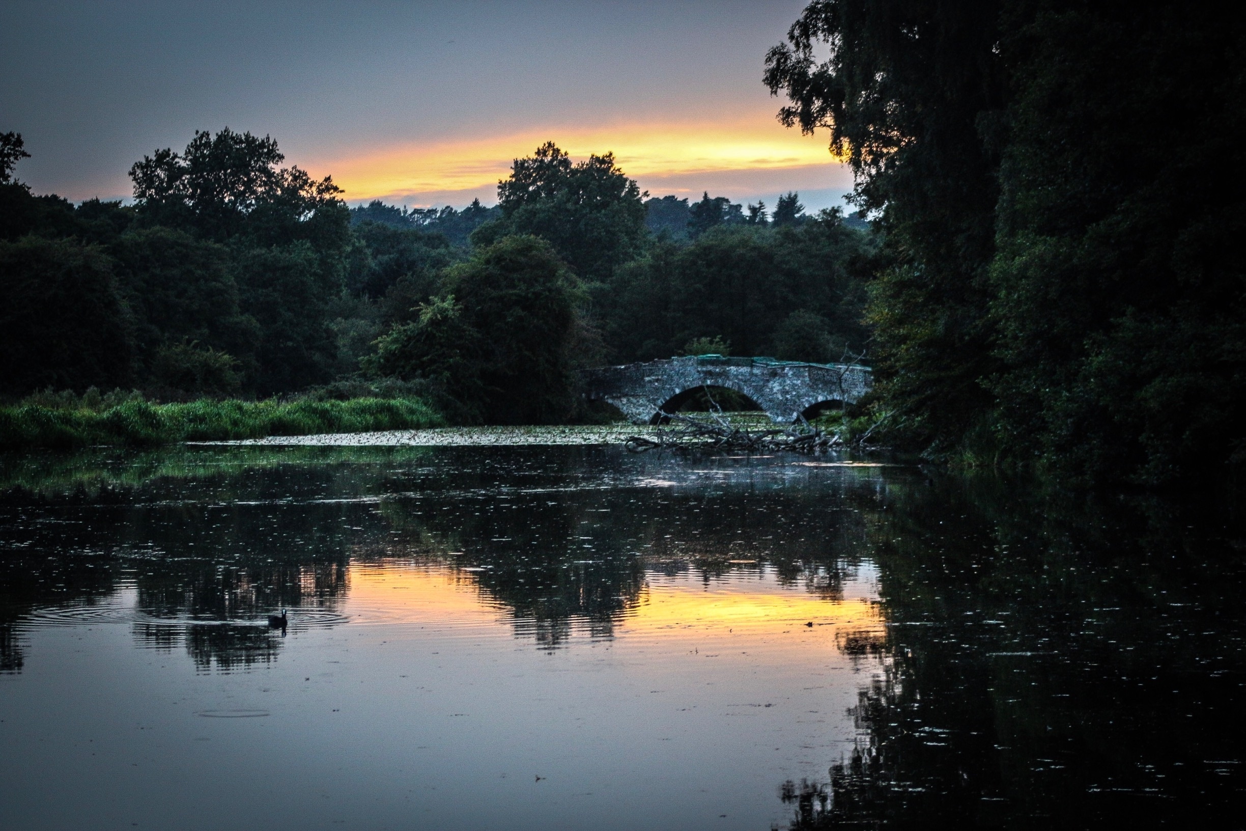 Waverley Abbey, Farnham, England, GB
