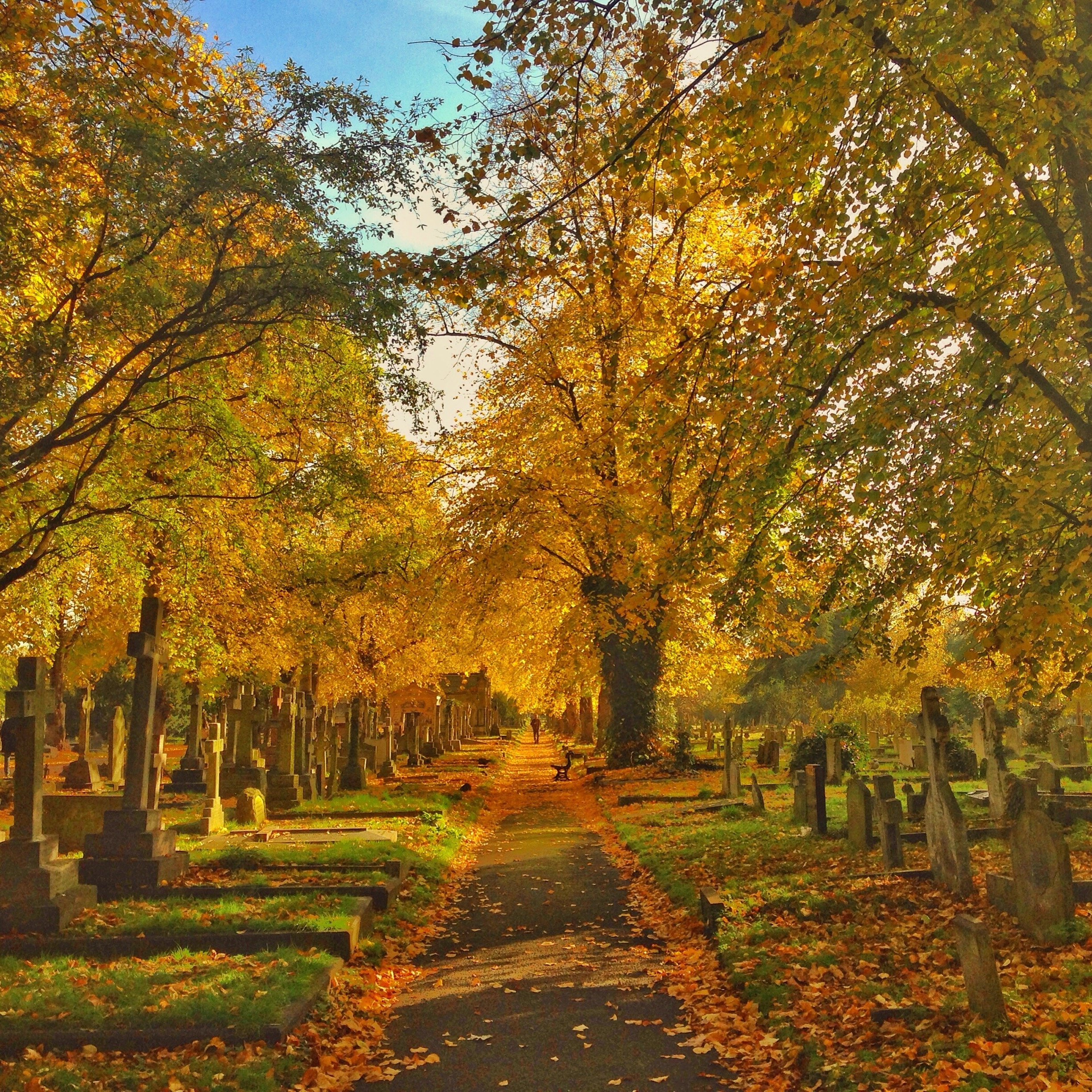 Brompton Cemetery, London, England, GB