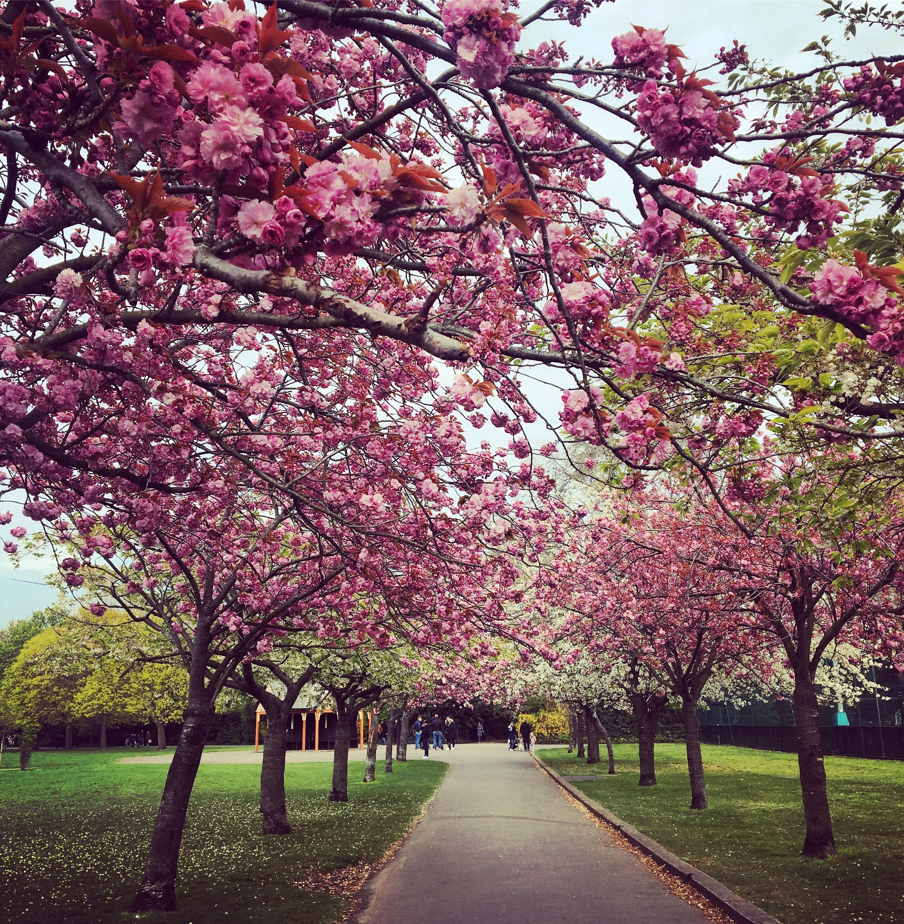 Battersea, London, England, GB