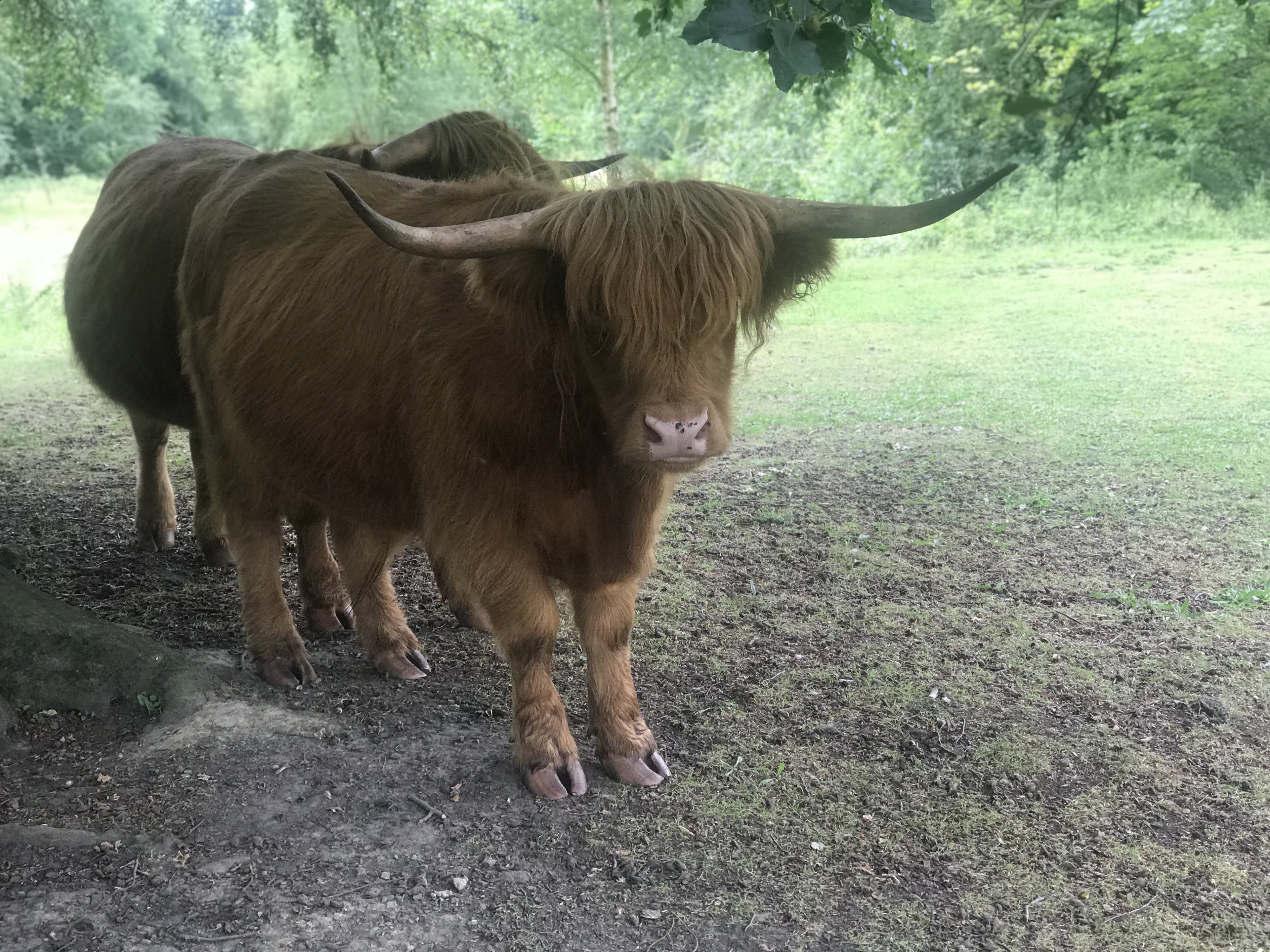 Wakefield, England, GB