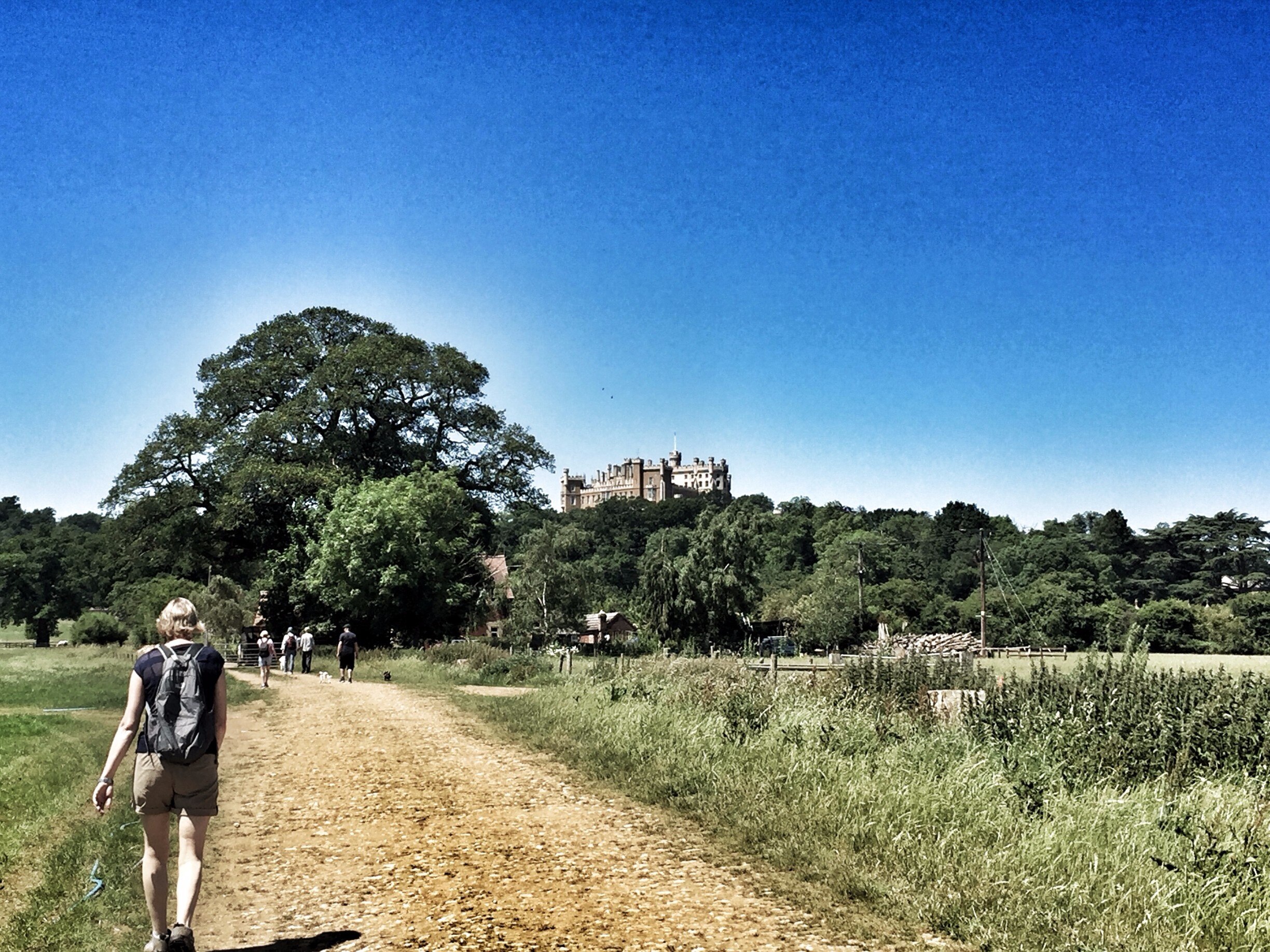 Belvoir Castle, Belvoir, Grantham, England, GB
