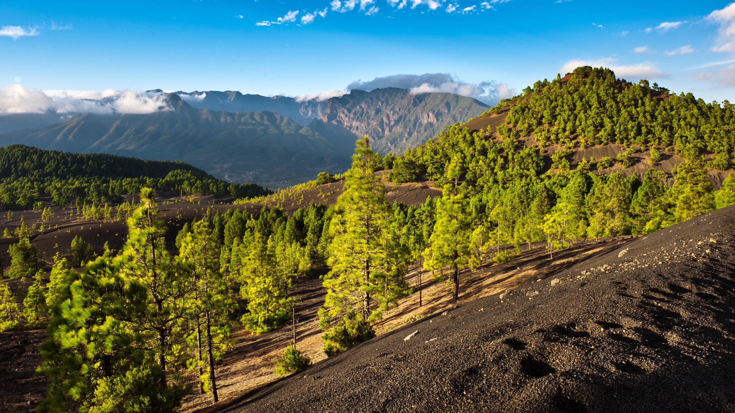 El Paso, Canary Islands, ES
