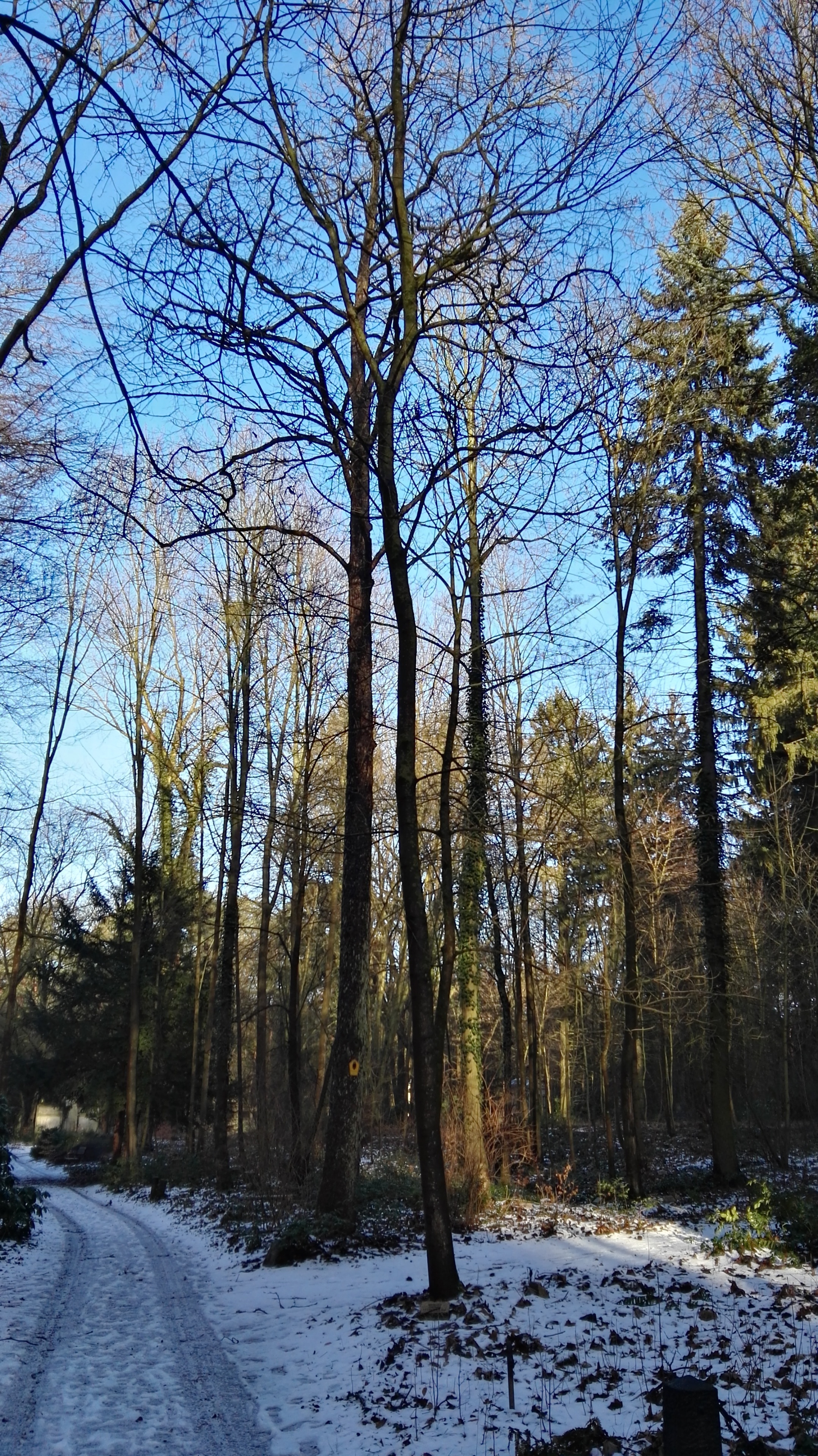 Güterfelde, Stahnsdorf, Brandenburg, DE