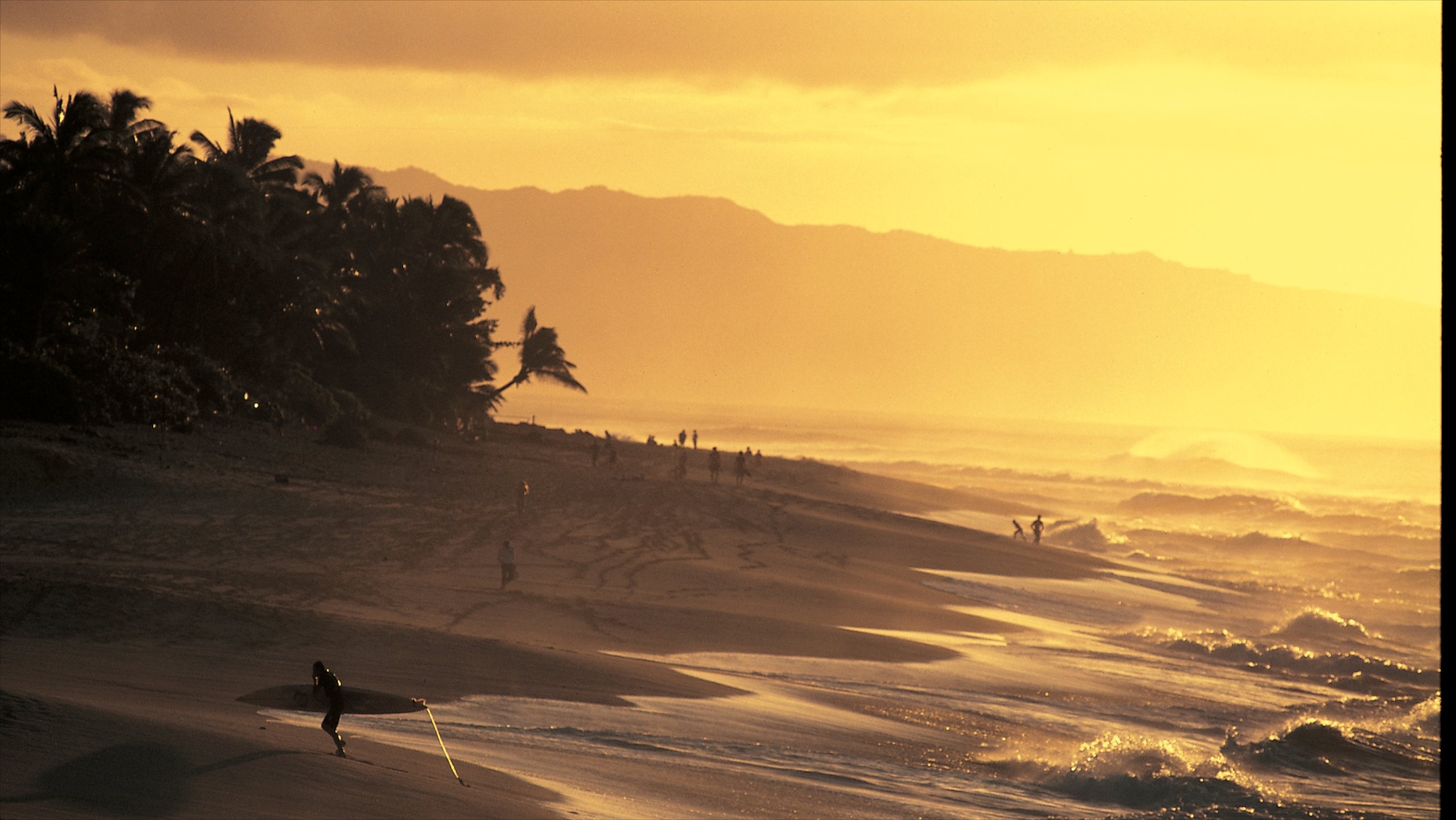 North Shore, Paia, Hawaii, US