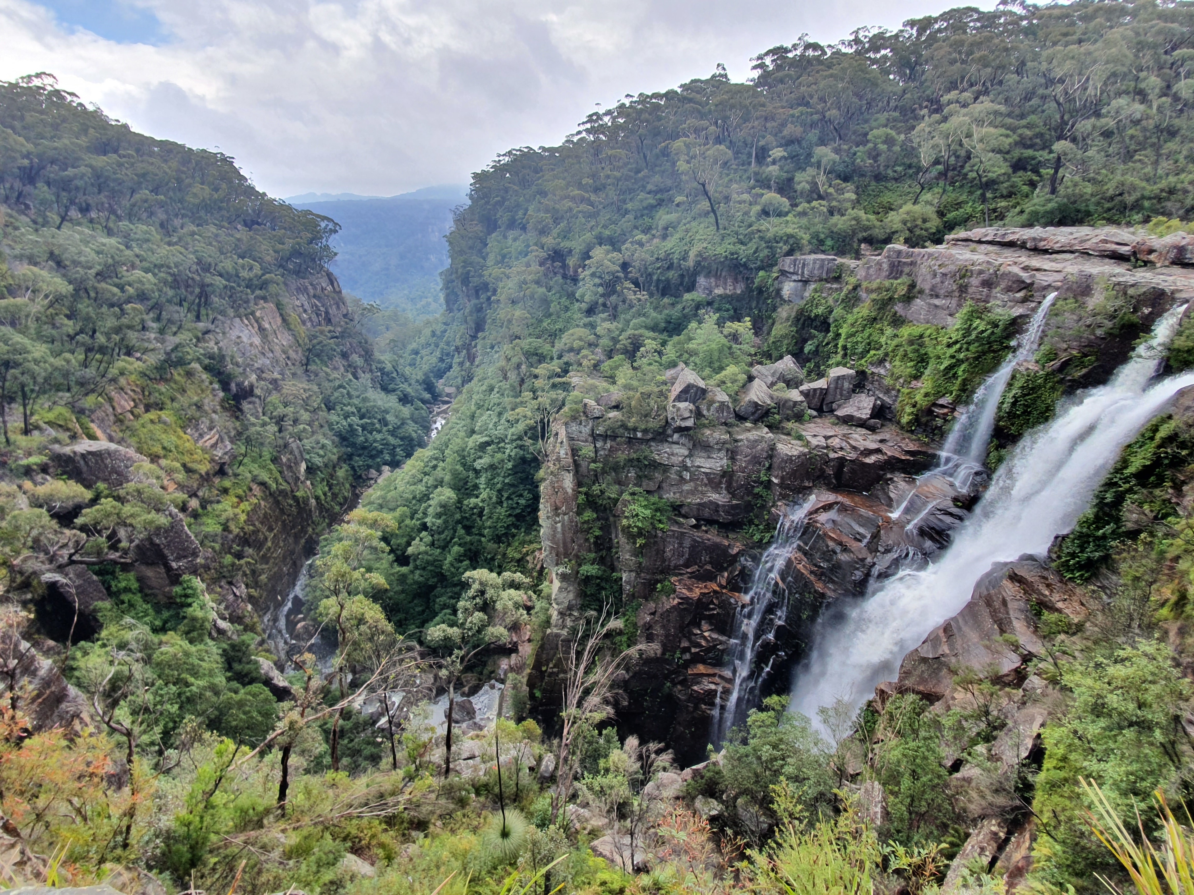 Robertson, New South Wales, AU