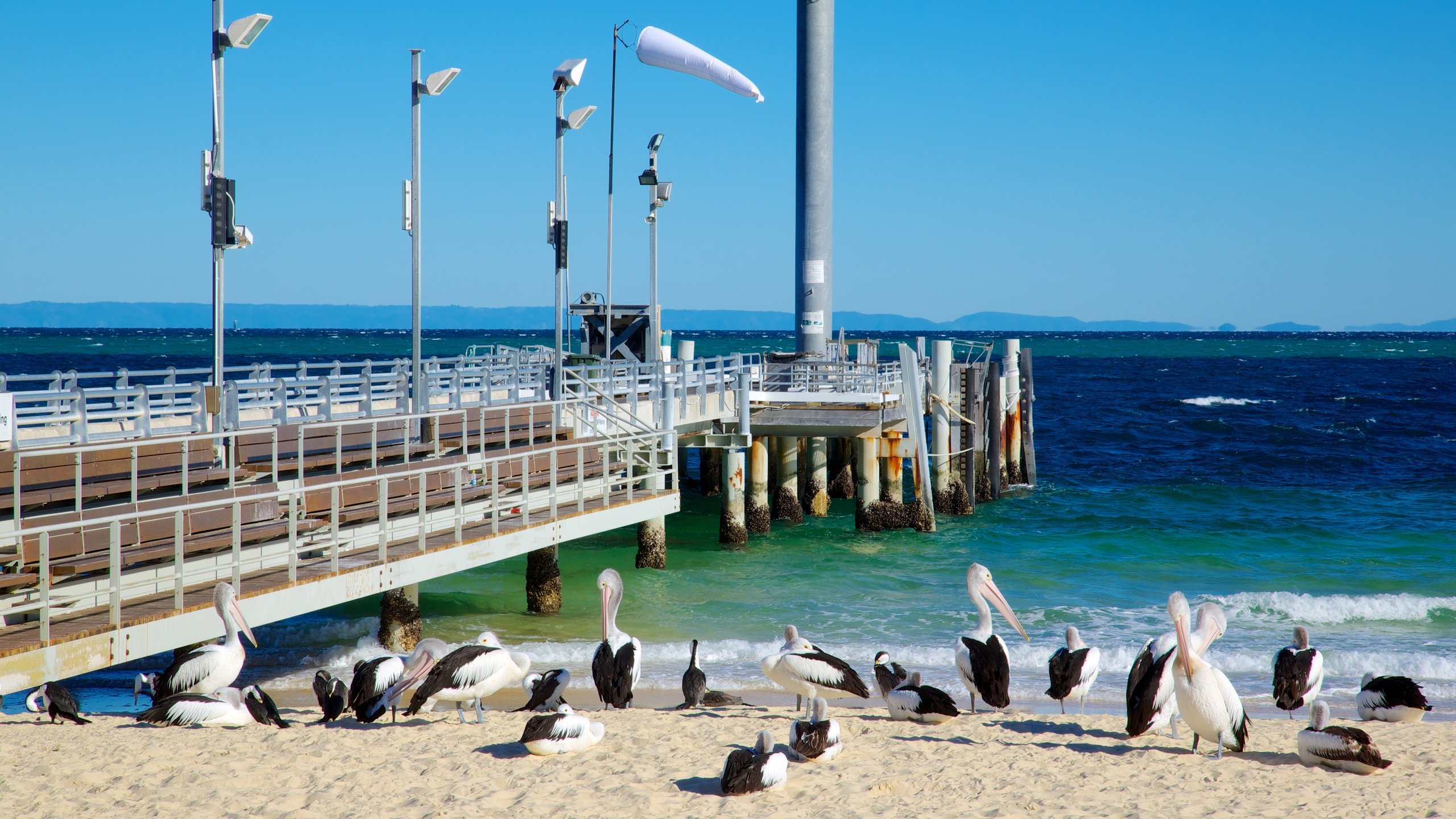 Tangalooma Island Resort, Moreton Island, Queensland, AU
