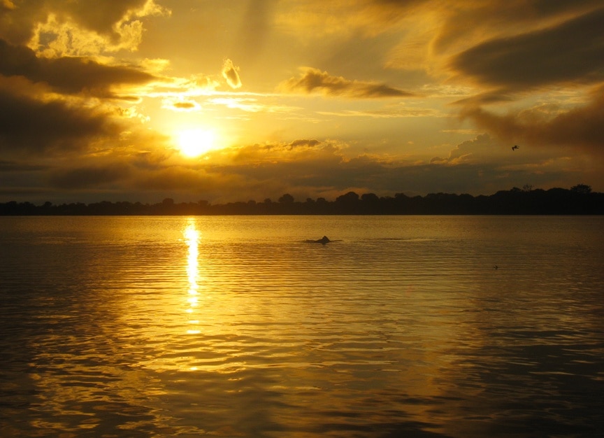 Manaus, Amazonas, Manaus, State of Amazonas, BR