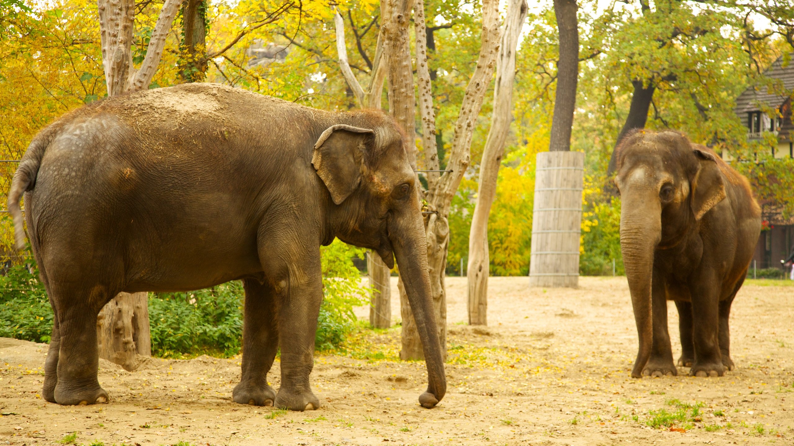 Zoologischer Garten, Berlin, DE