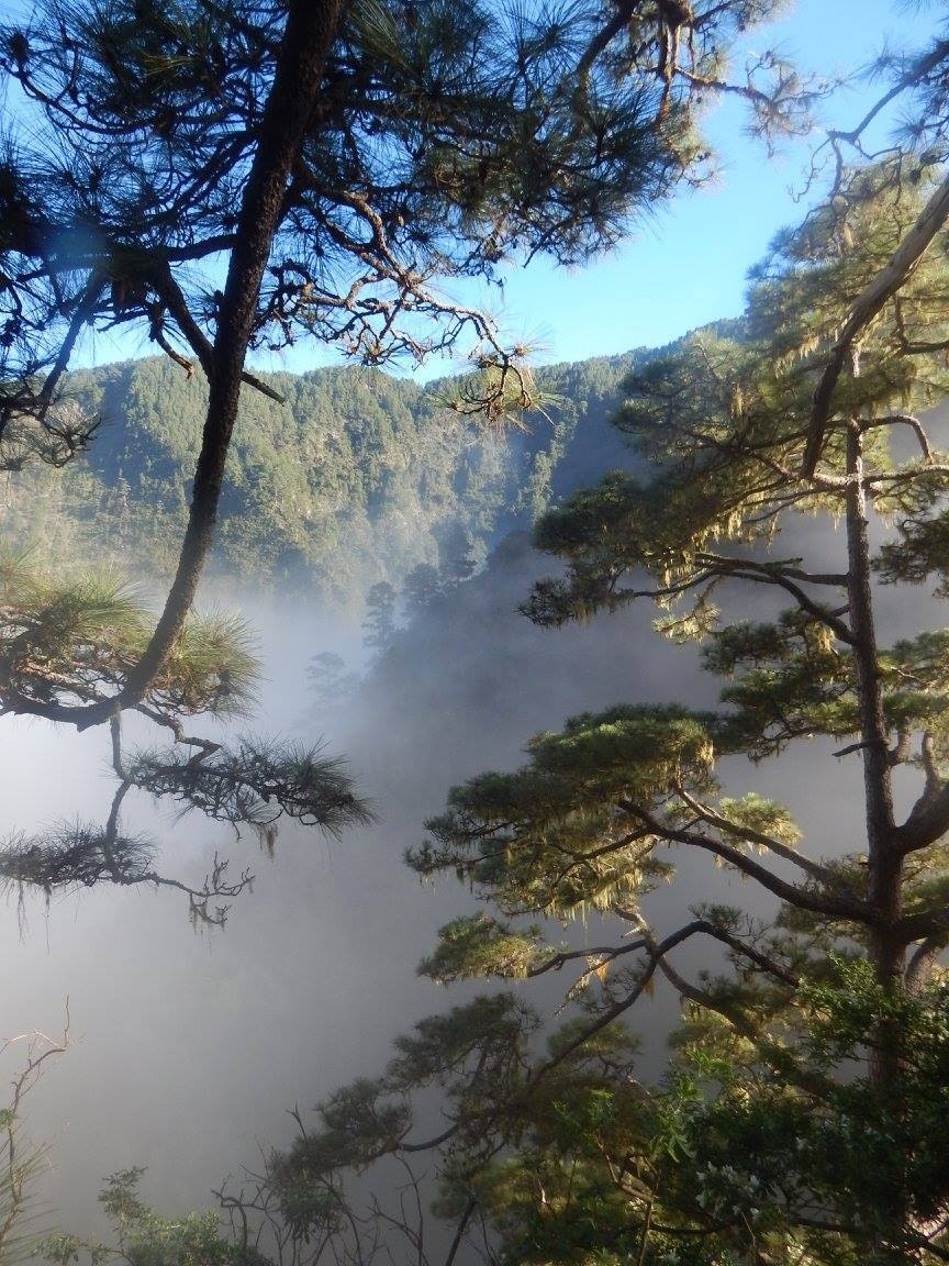 San Andrés y Sauces, Canary Islands, ES