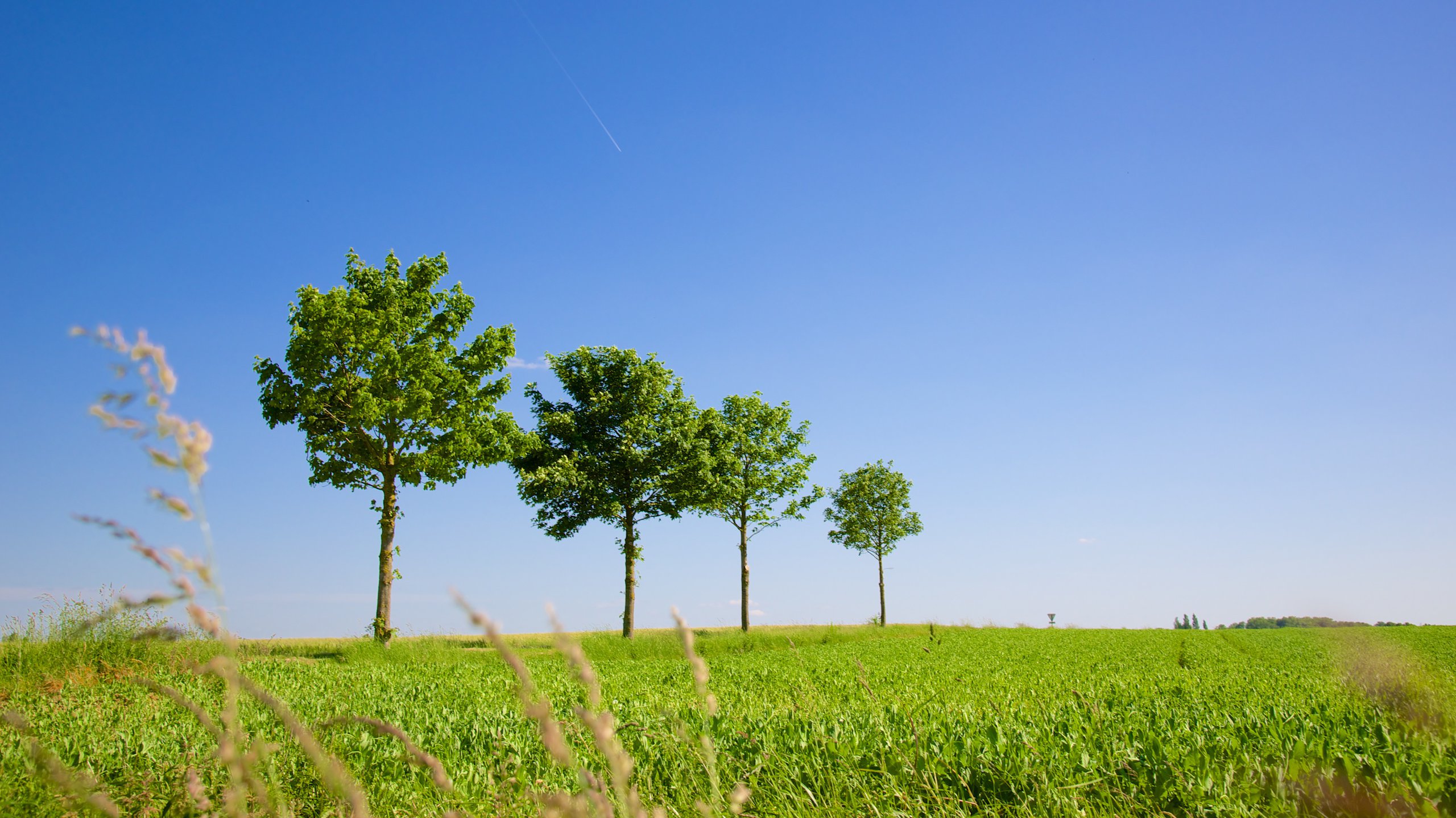 Chambord, Centre-Val de Loire, FR