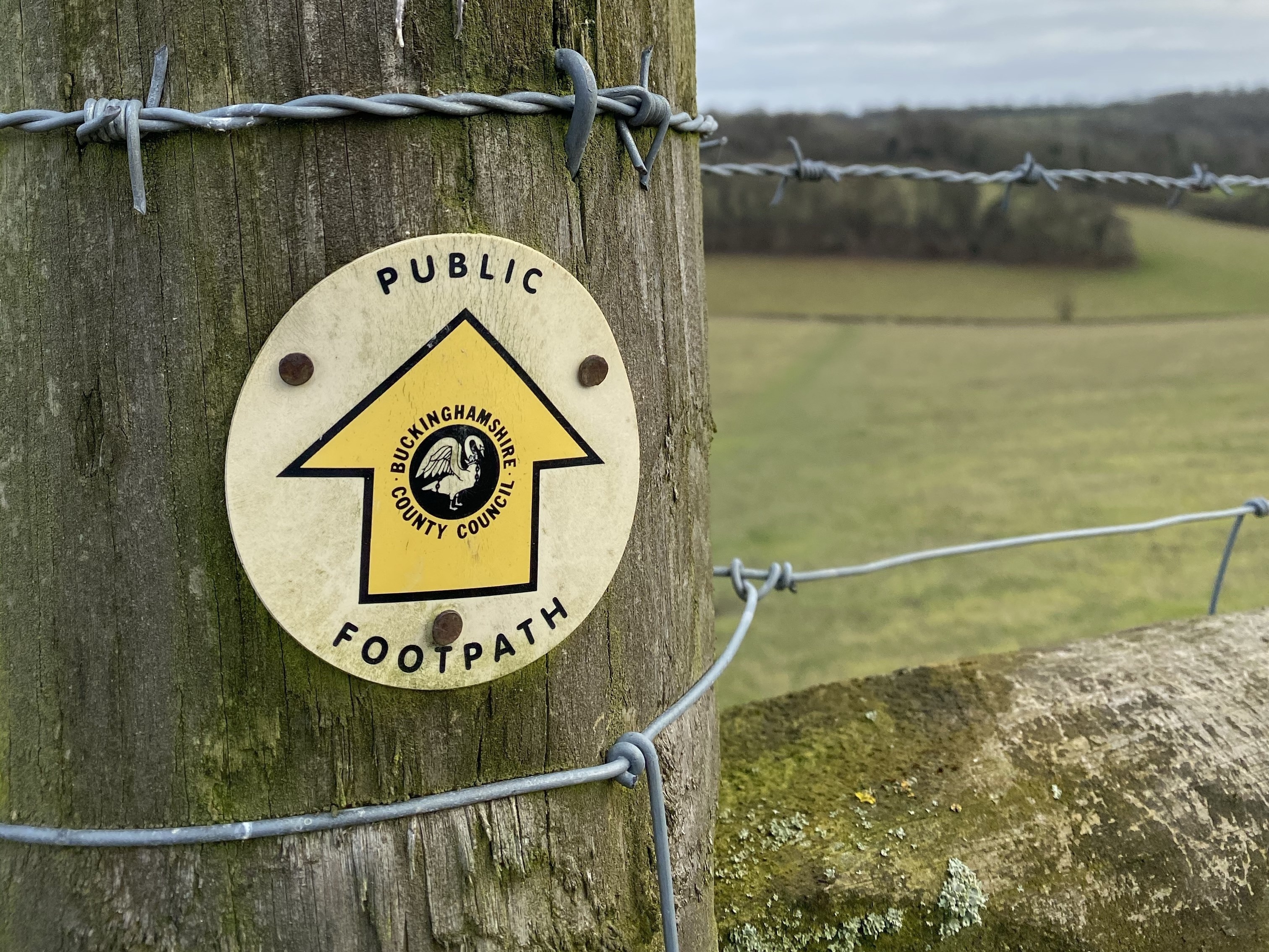 High Wycombe, England, GB