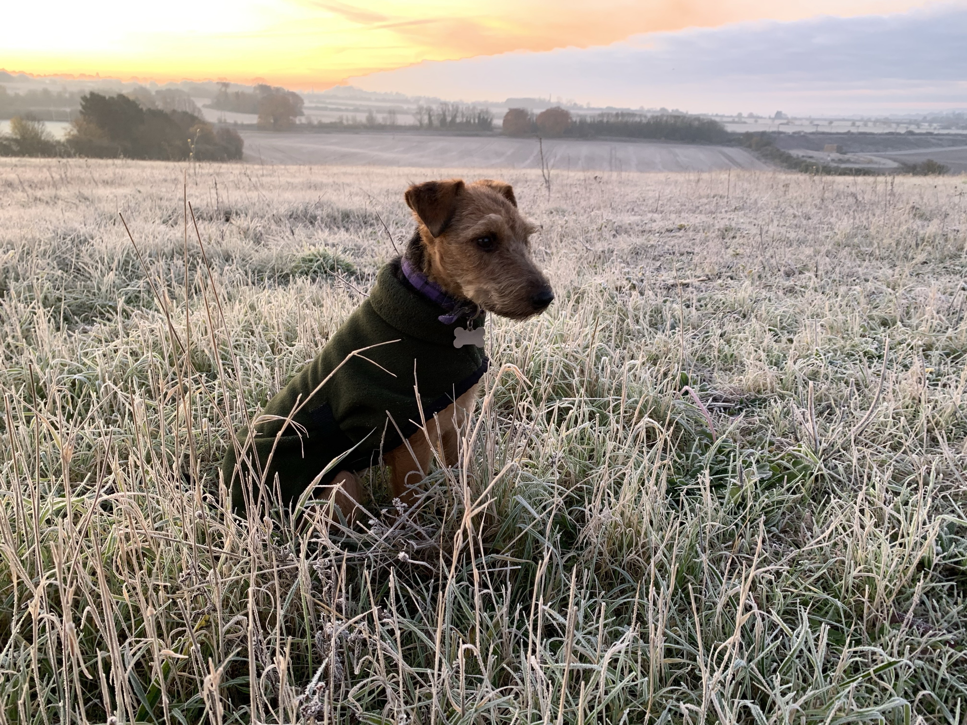 Letchworth Garden City, England, GB
