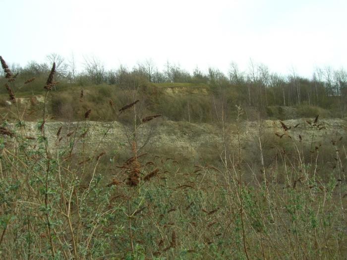 Old Quarry, England, GB