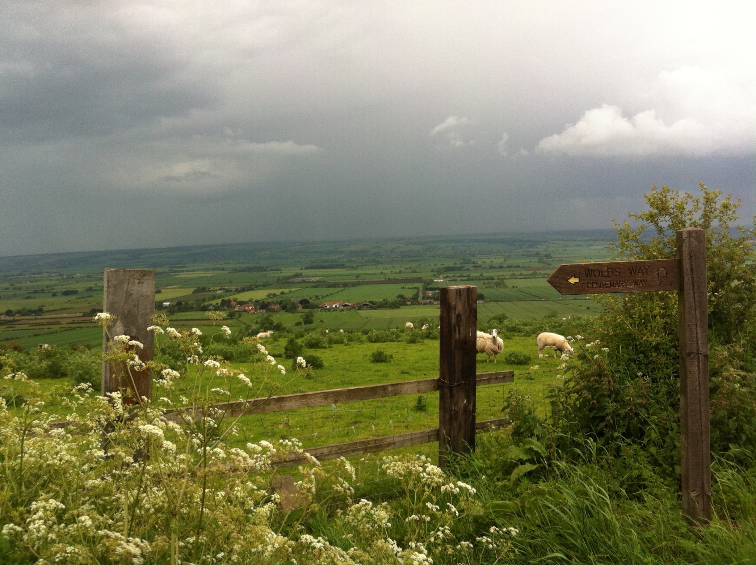 Coneysthorpe, York, England, GB