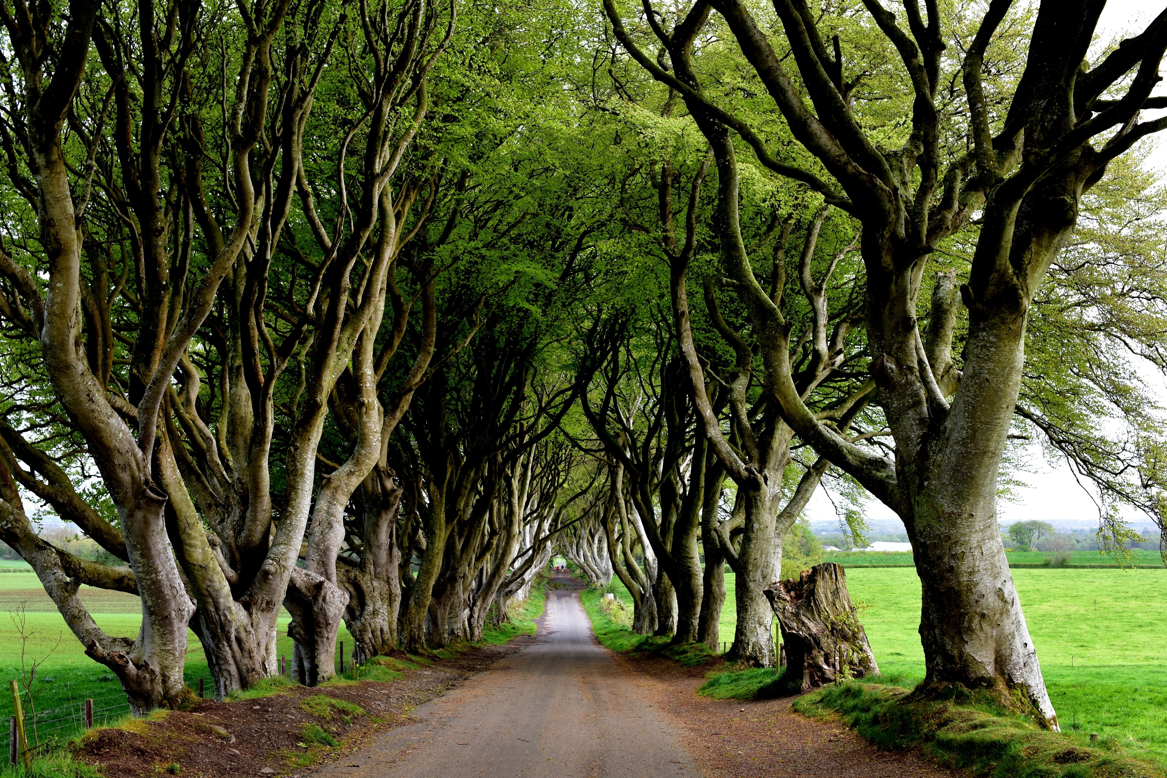 Ballymoney, Northern Ireland, GB