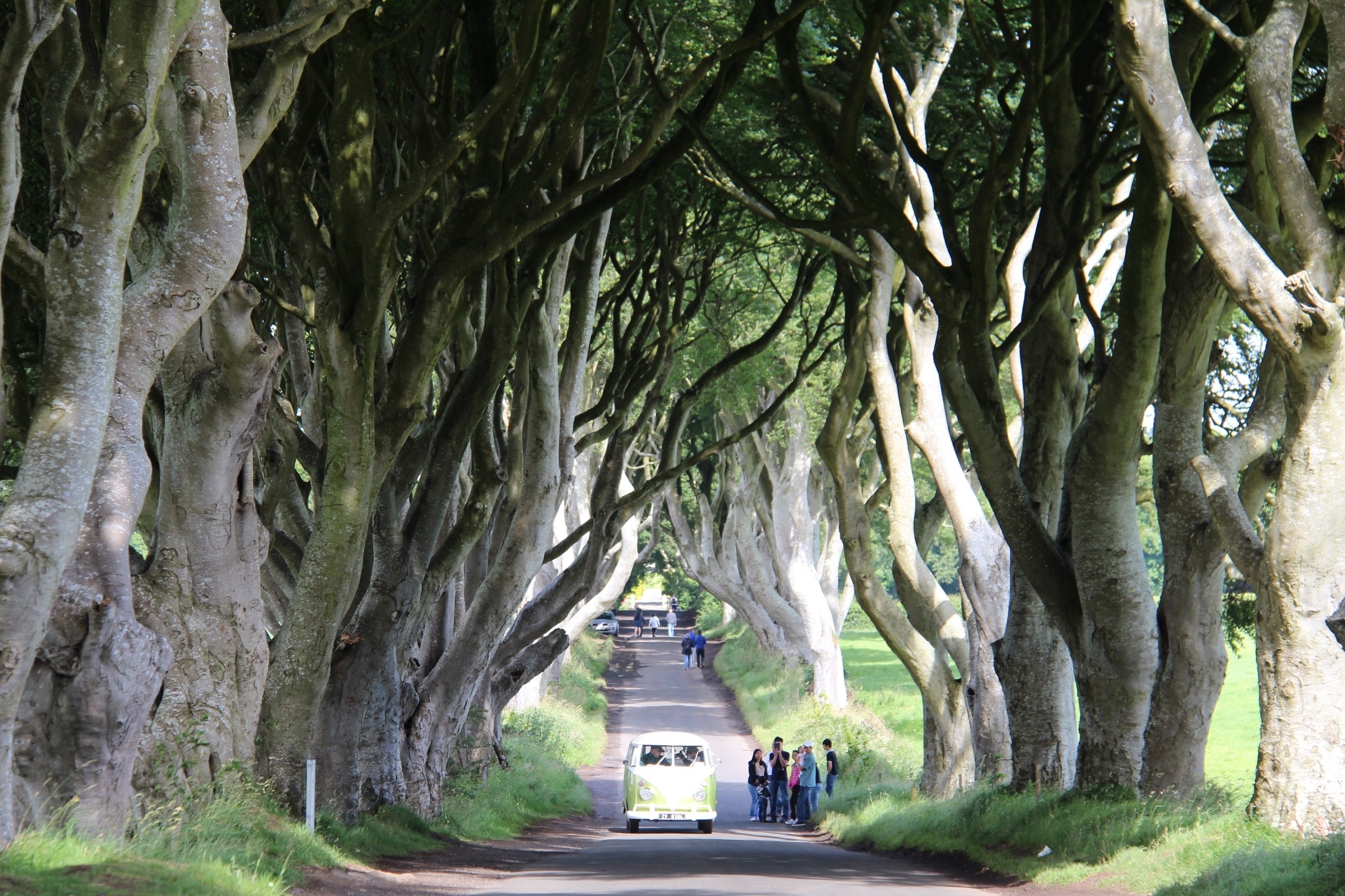 Giant's Causeway, Bushmills, Northern Ireland, GB