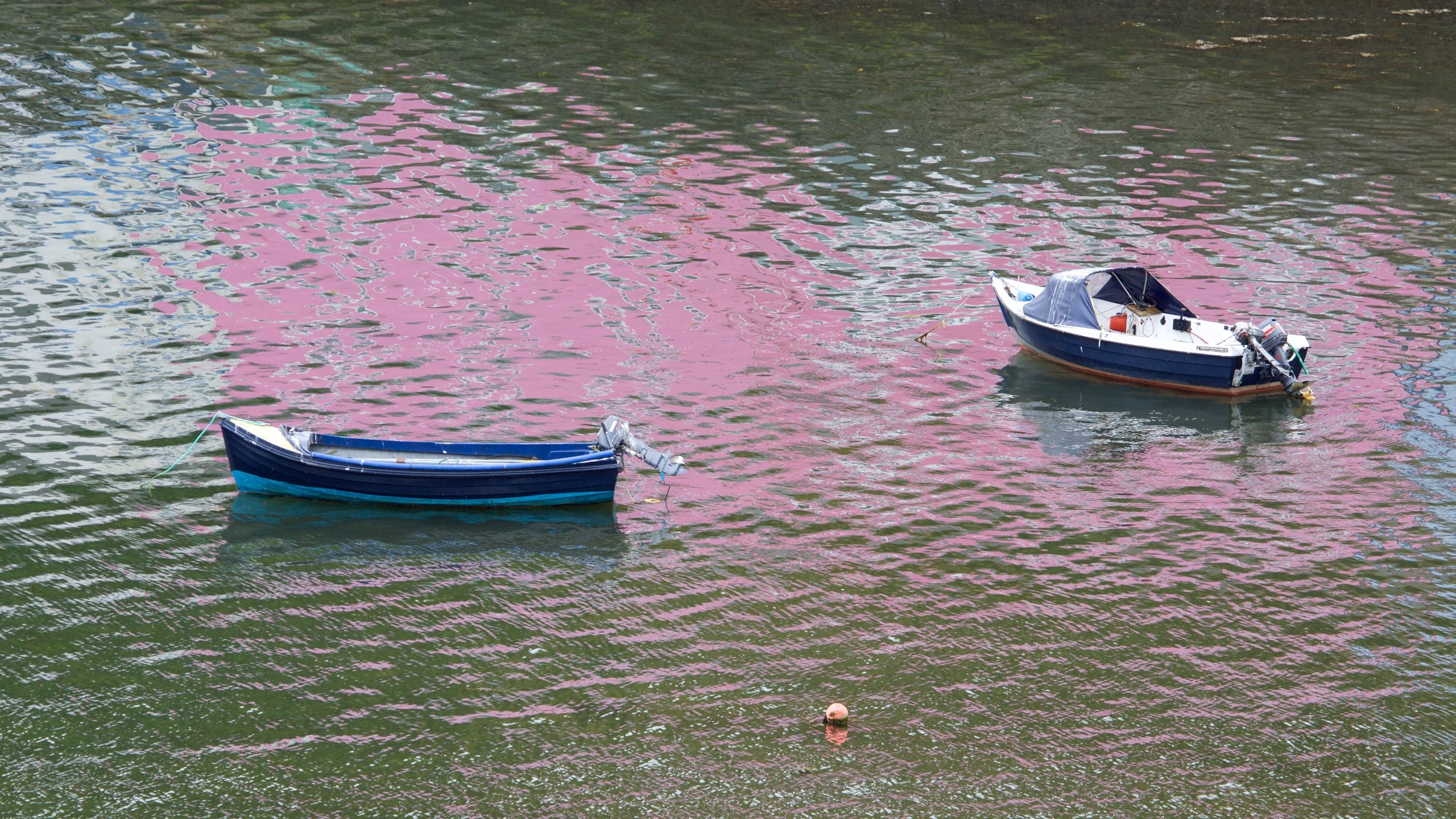 Fairy Hills, Scotland, GB