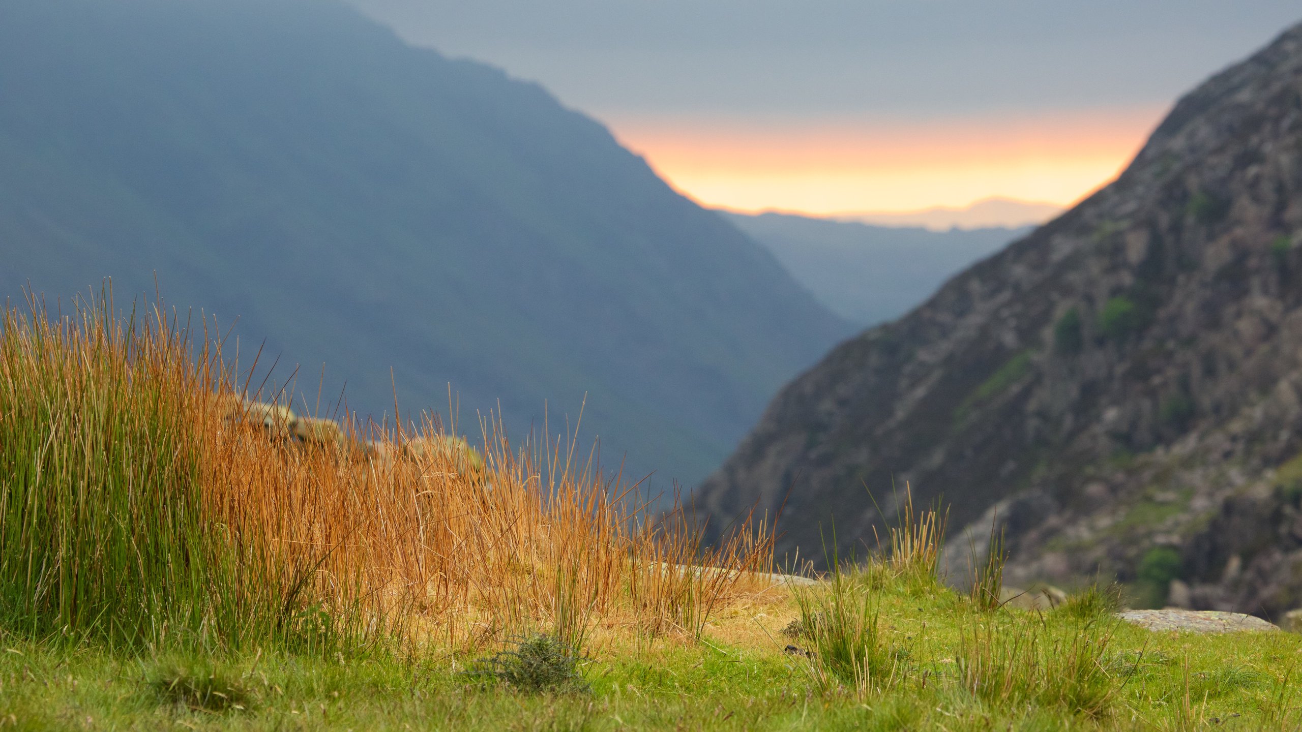 Snowdonia, Penrhyndeudraeth, Wales, GB