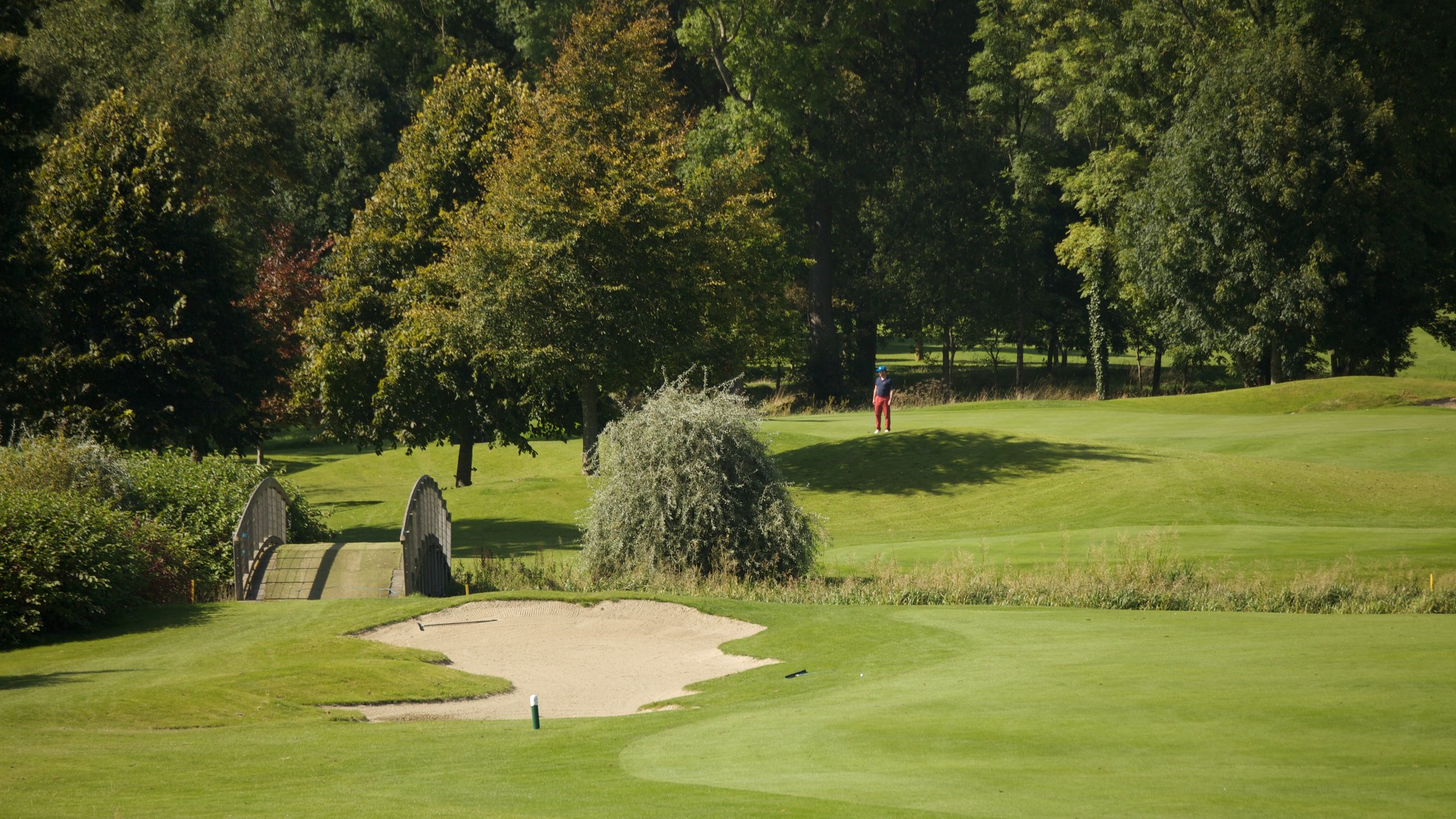 Curragh Plains, Kildare, County Kildare, IE