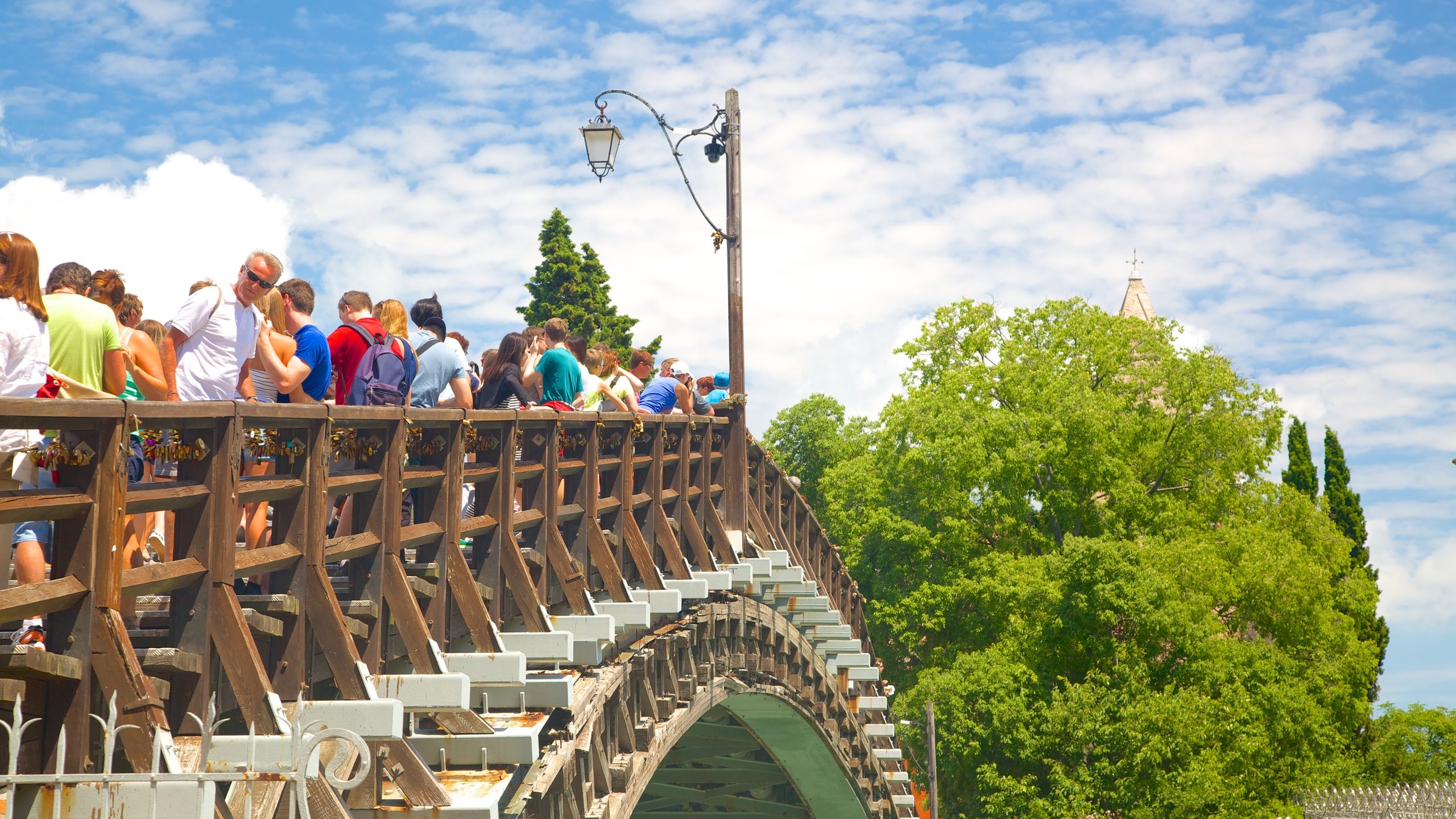 Accademia Bridge, Venezia, Veneto, IT