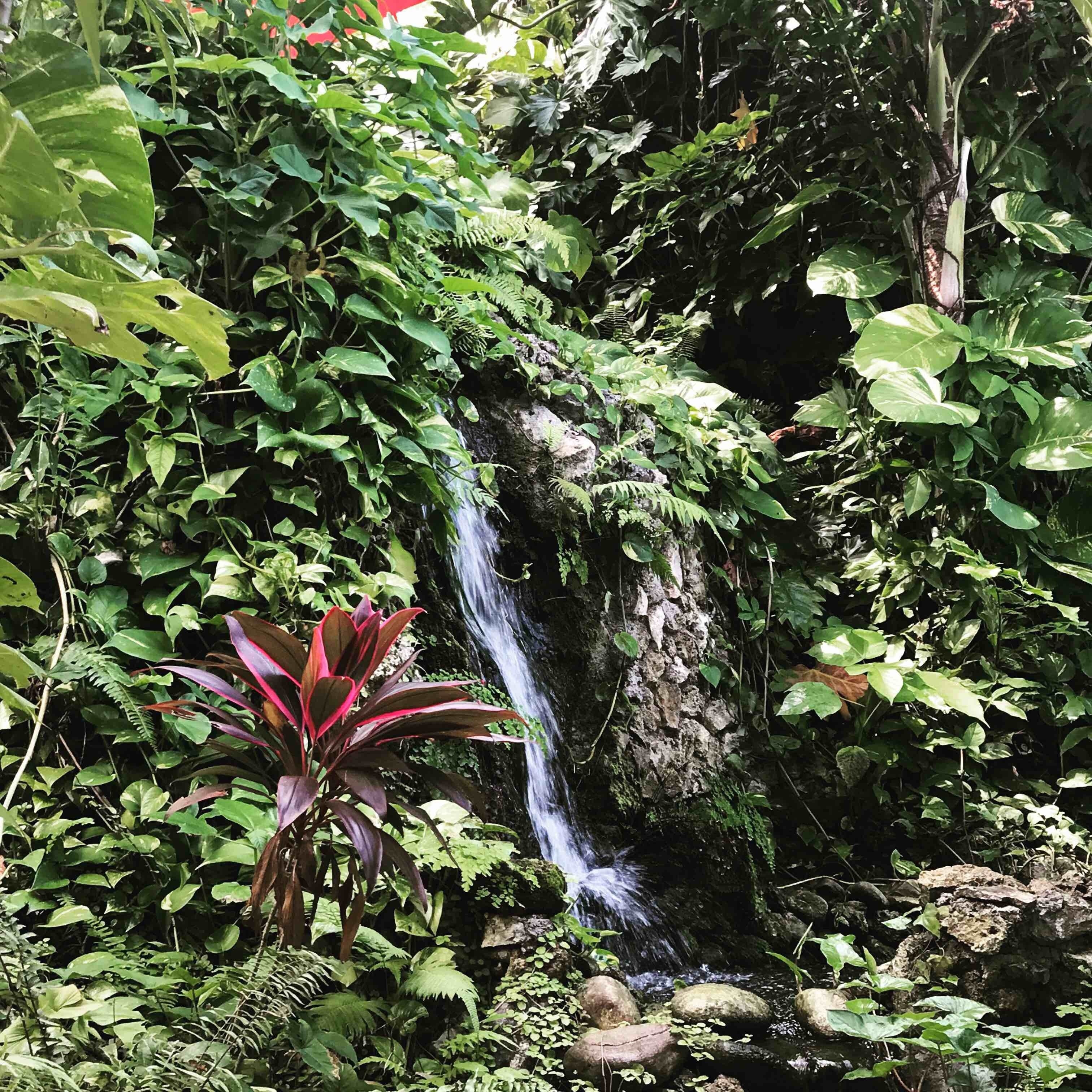 Frenchman's Cove, Drapers, Portland, JM