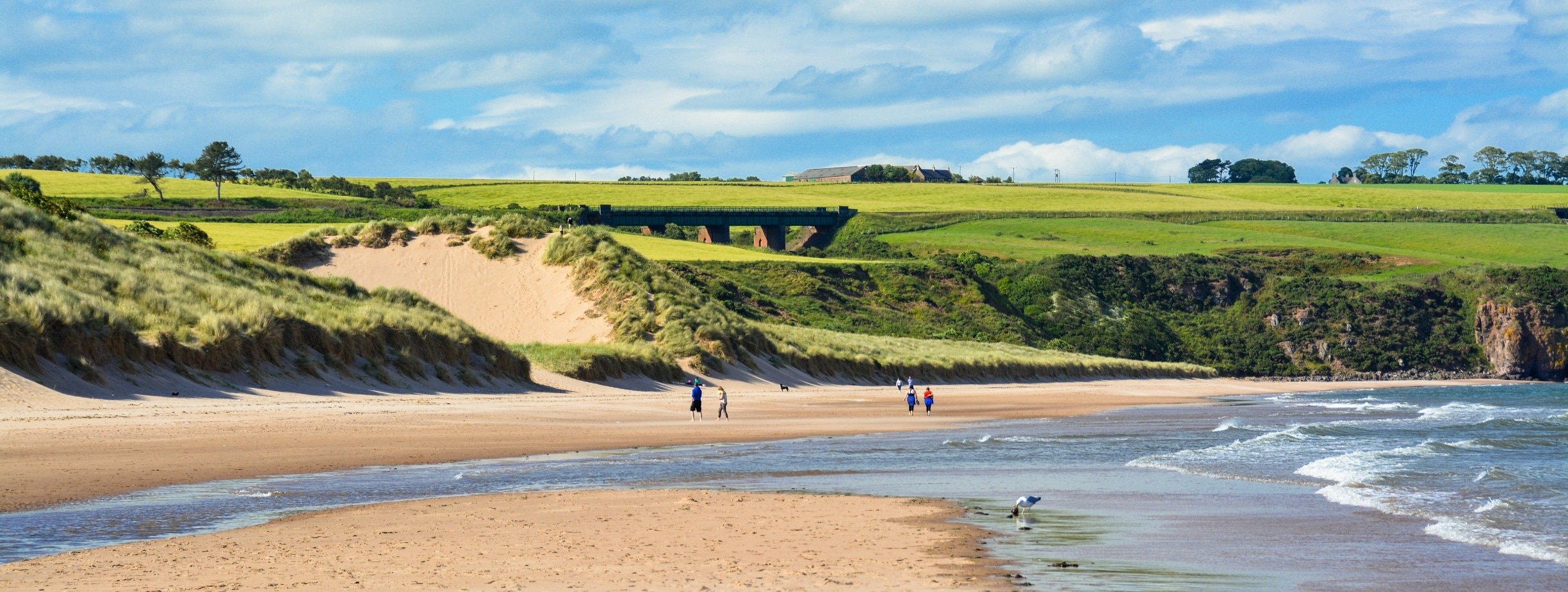 St. Ann, St. Ann Parish, JM