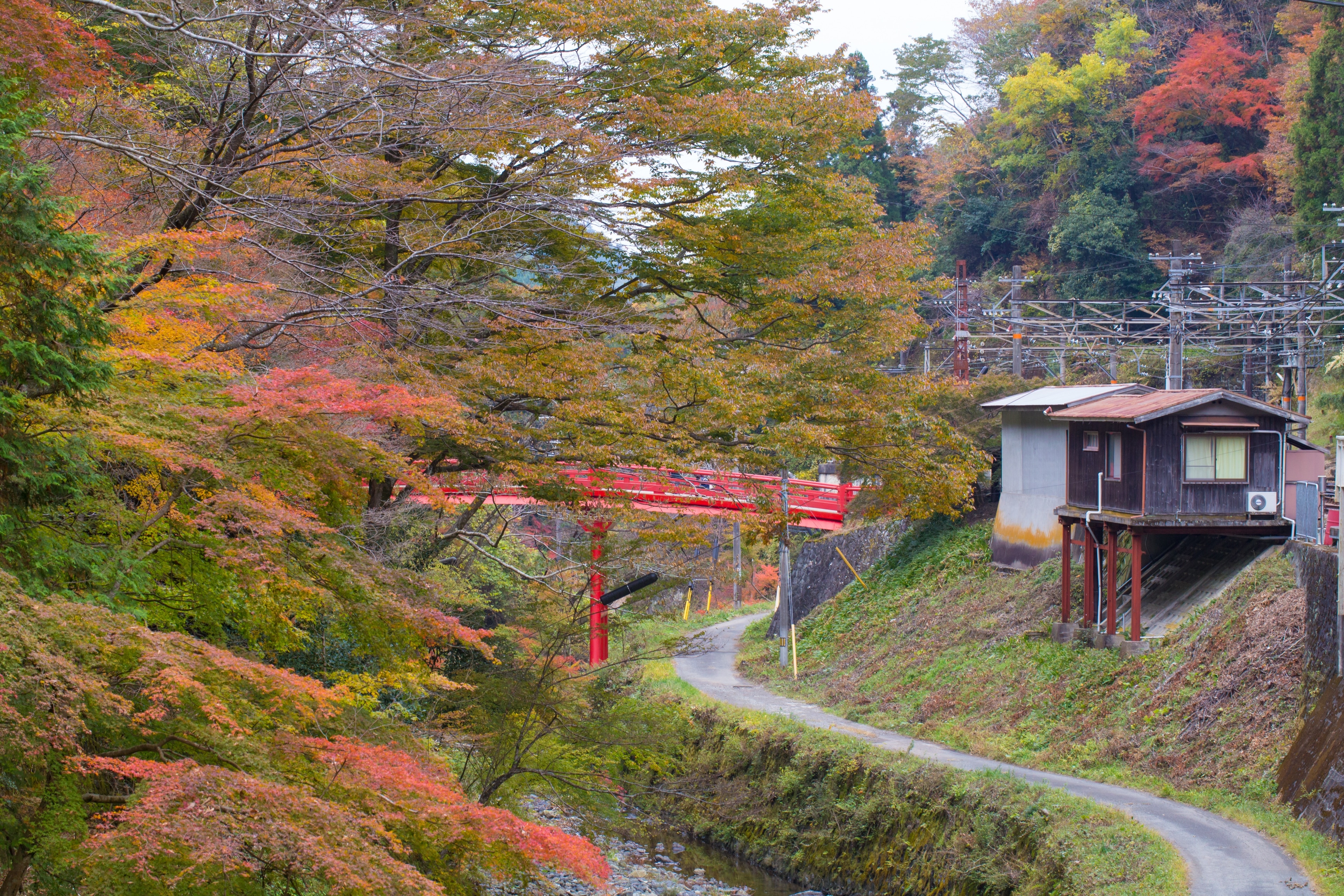 Wakayama Prefecture, Wakayama, JP