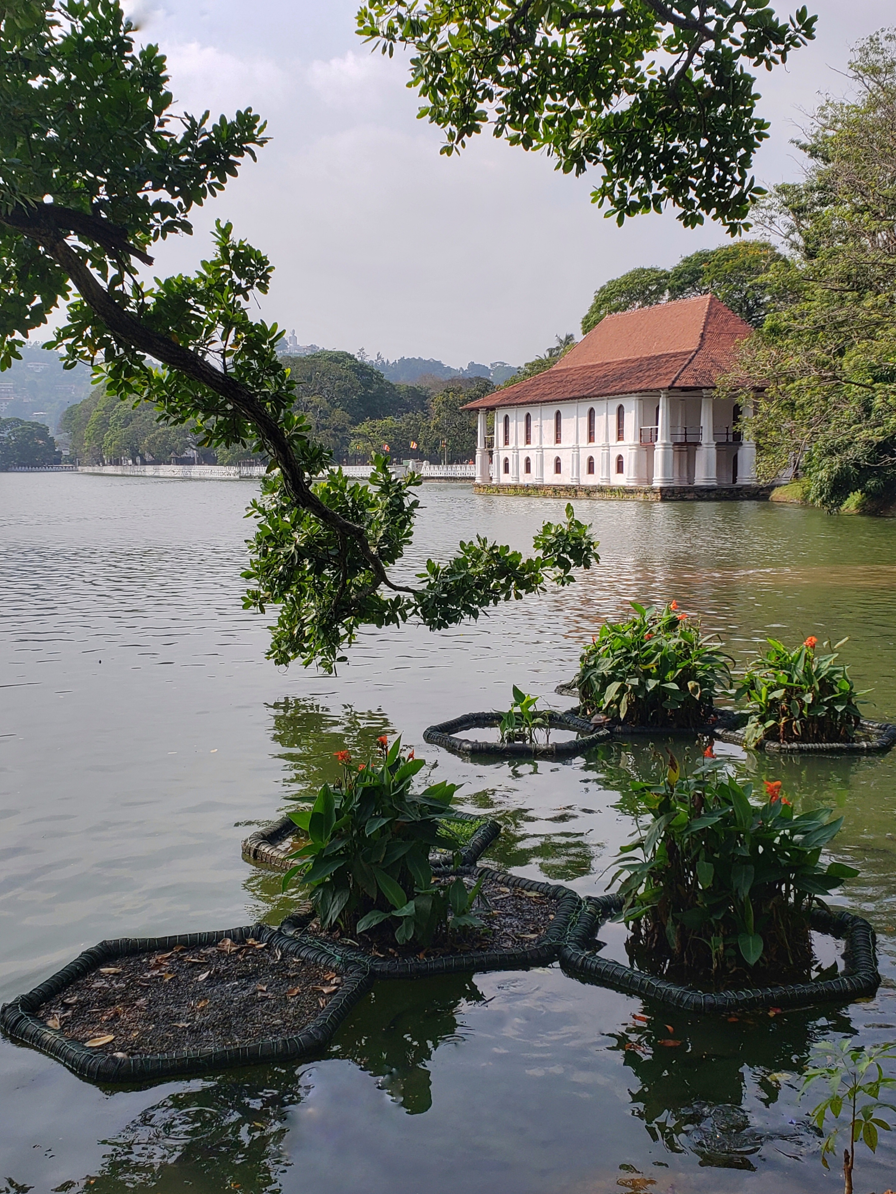 Kandy, Central Province, LK
