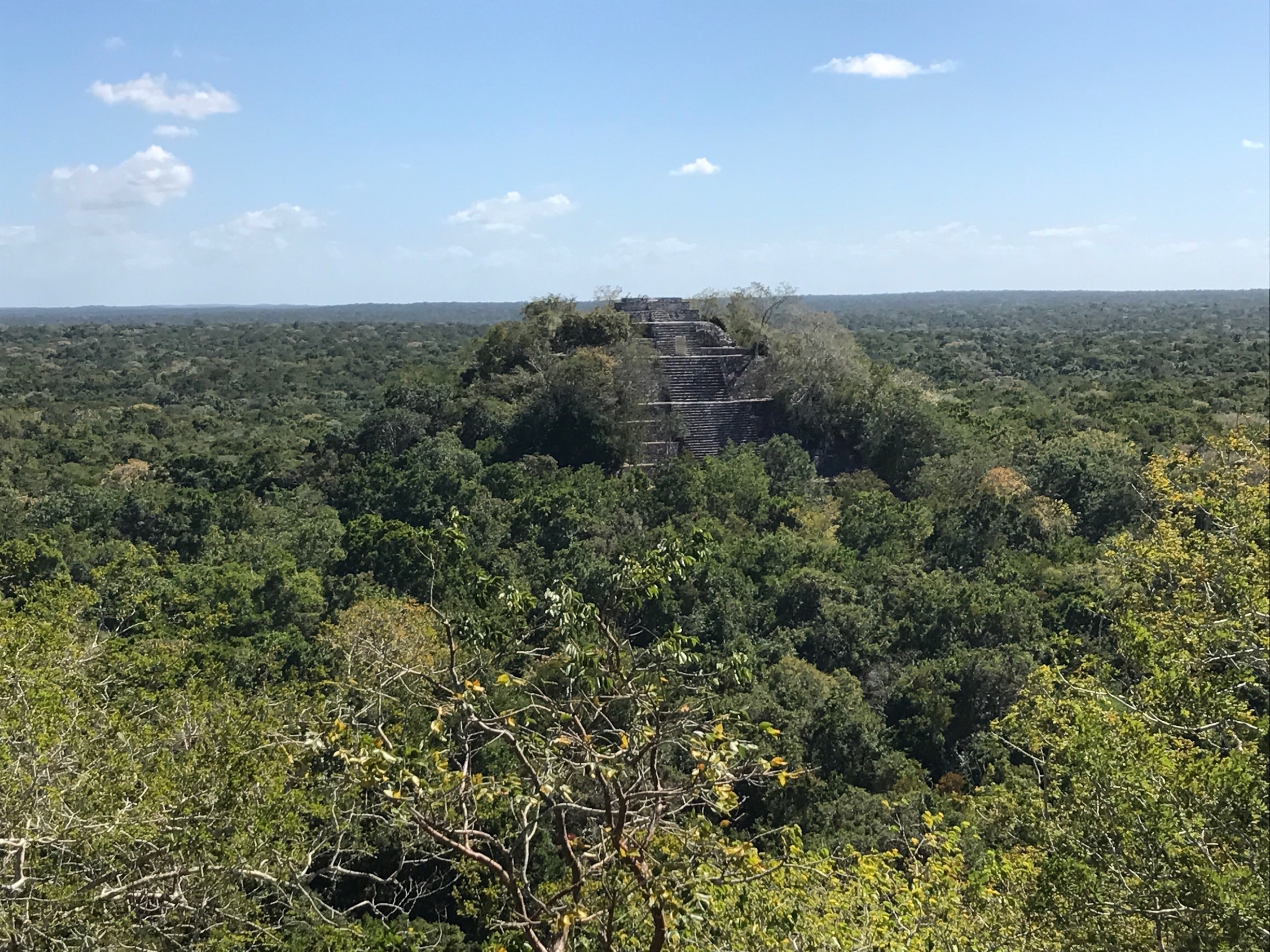 Calakmul, Campeche, MX