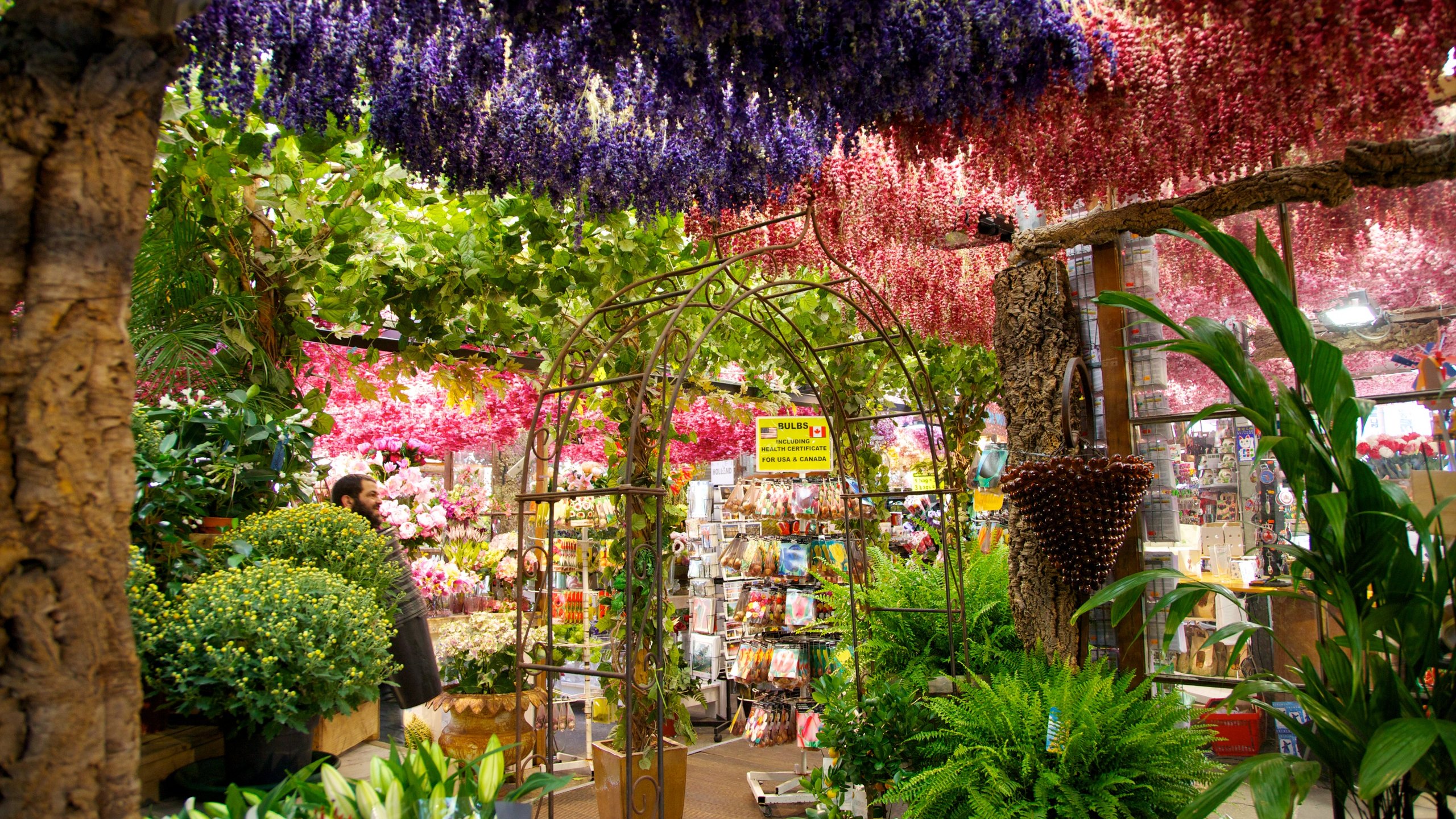 Brouwersgracht, Amsterdam, North Holland, NL