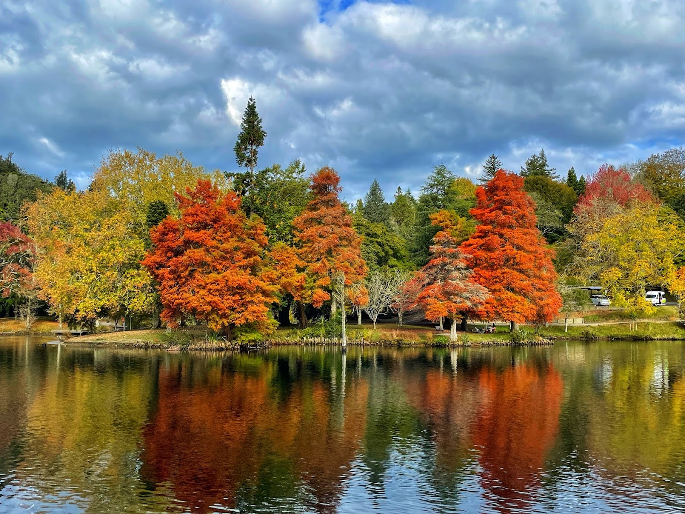McLaren Falls Park, Omanawa, Bay of Plenty, NZ