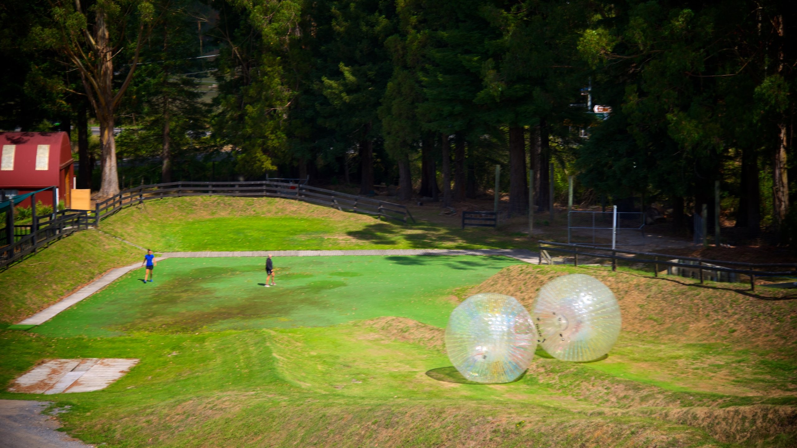 Ngongotaha, Rotorua, Rotorua, Bay of Plenty, NZ