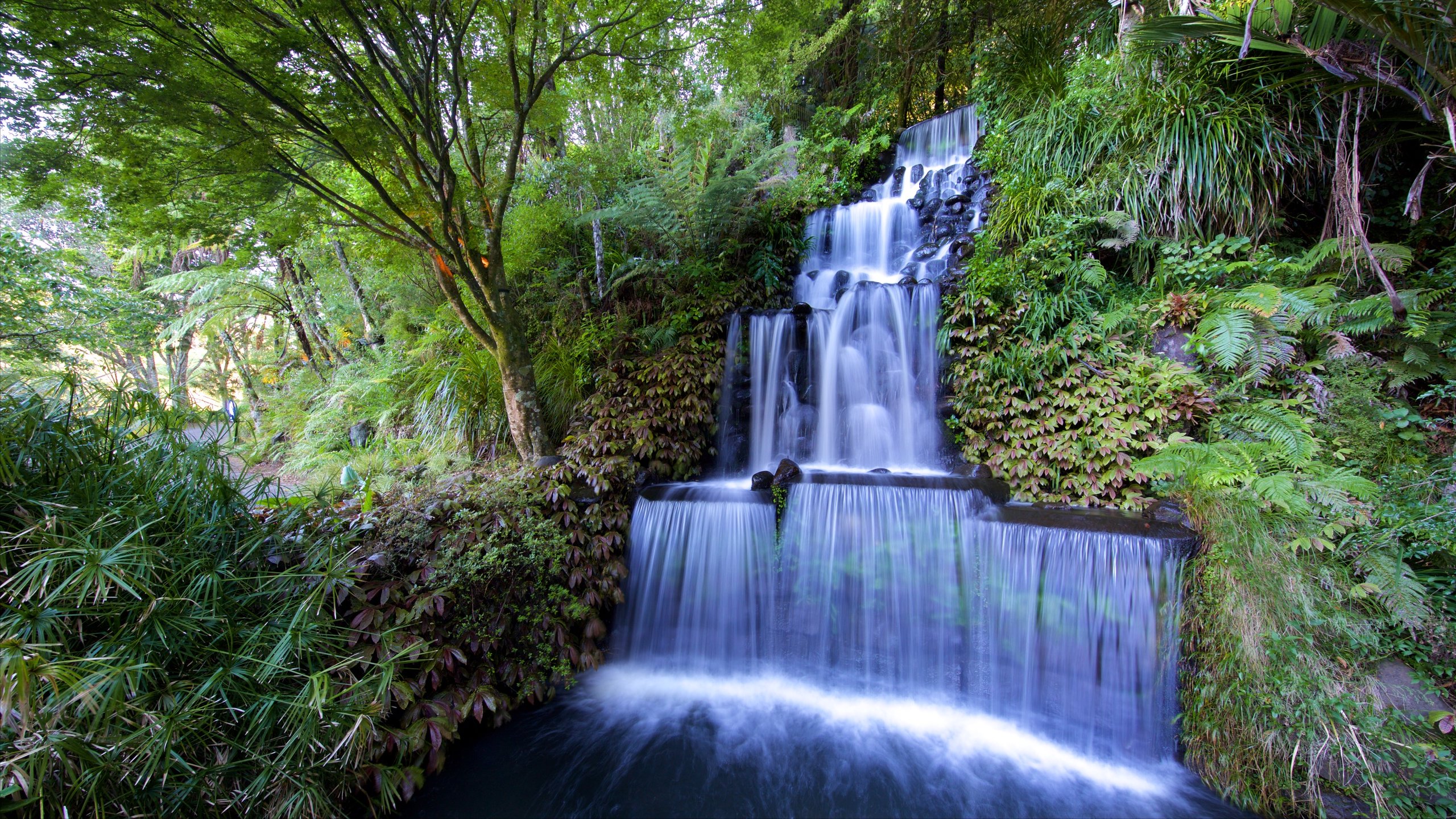 Pukekura Park, New Plymouth, Taranaki, NZ