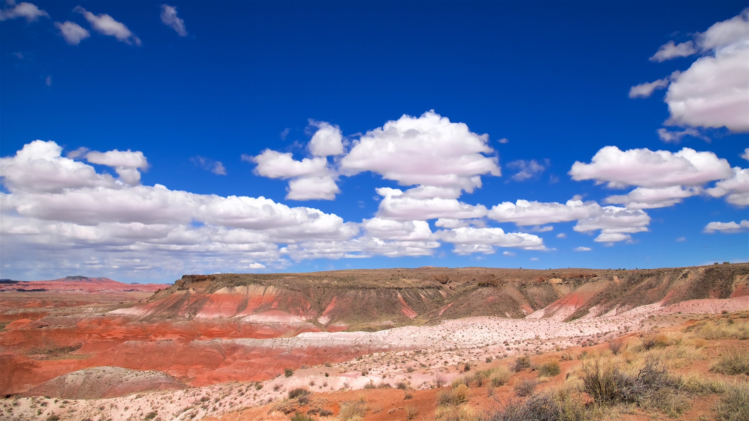 Defiance Plateau, Arizona, US