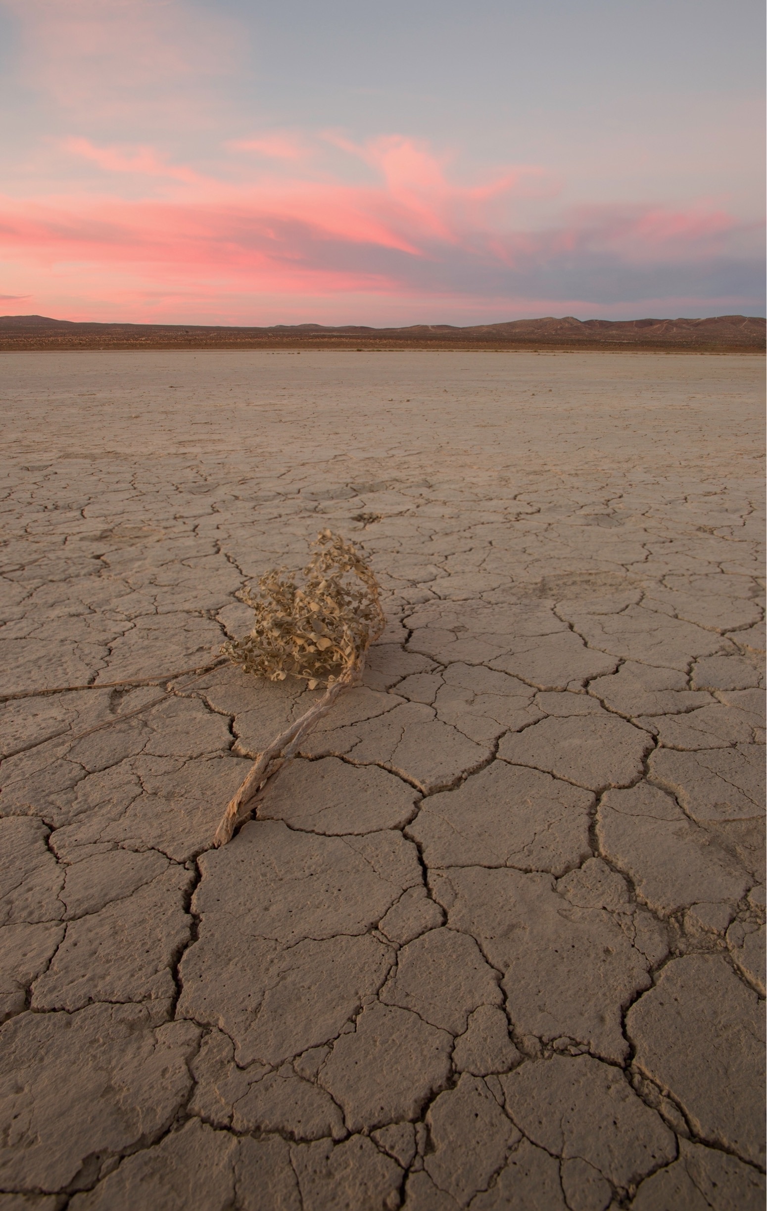 El Mirage Dry Lake, California, US