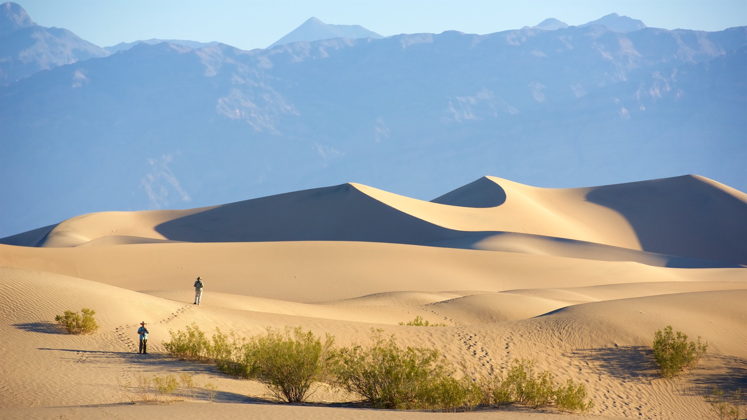 Mojave Desert, California, US