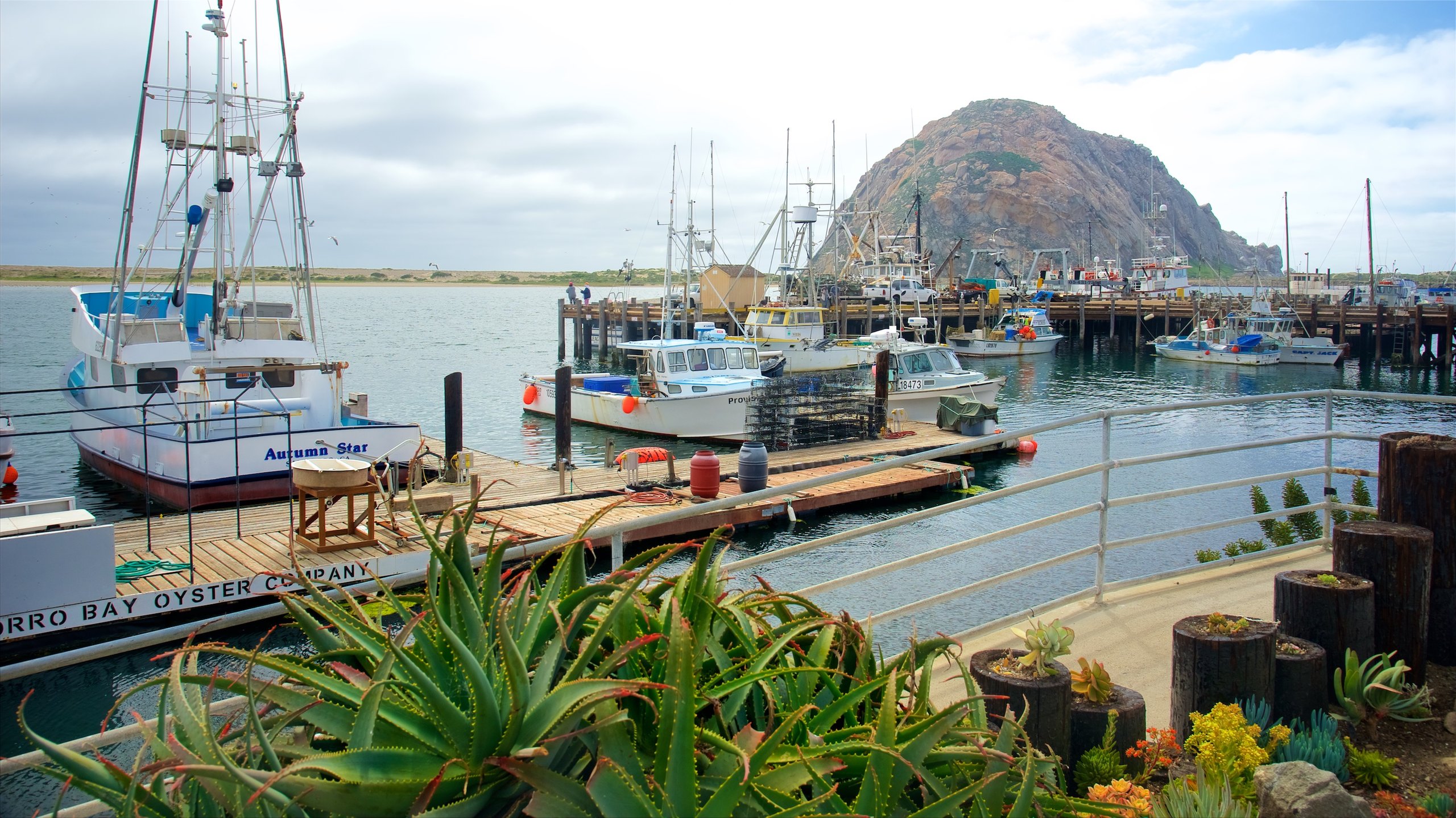 Morro Bay, California, US