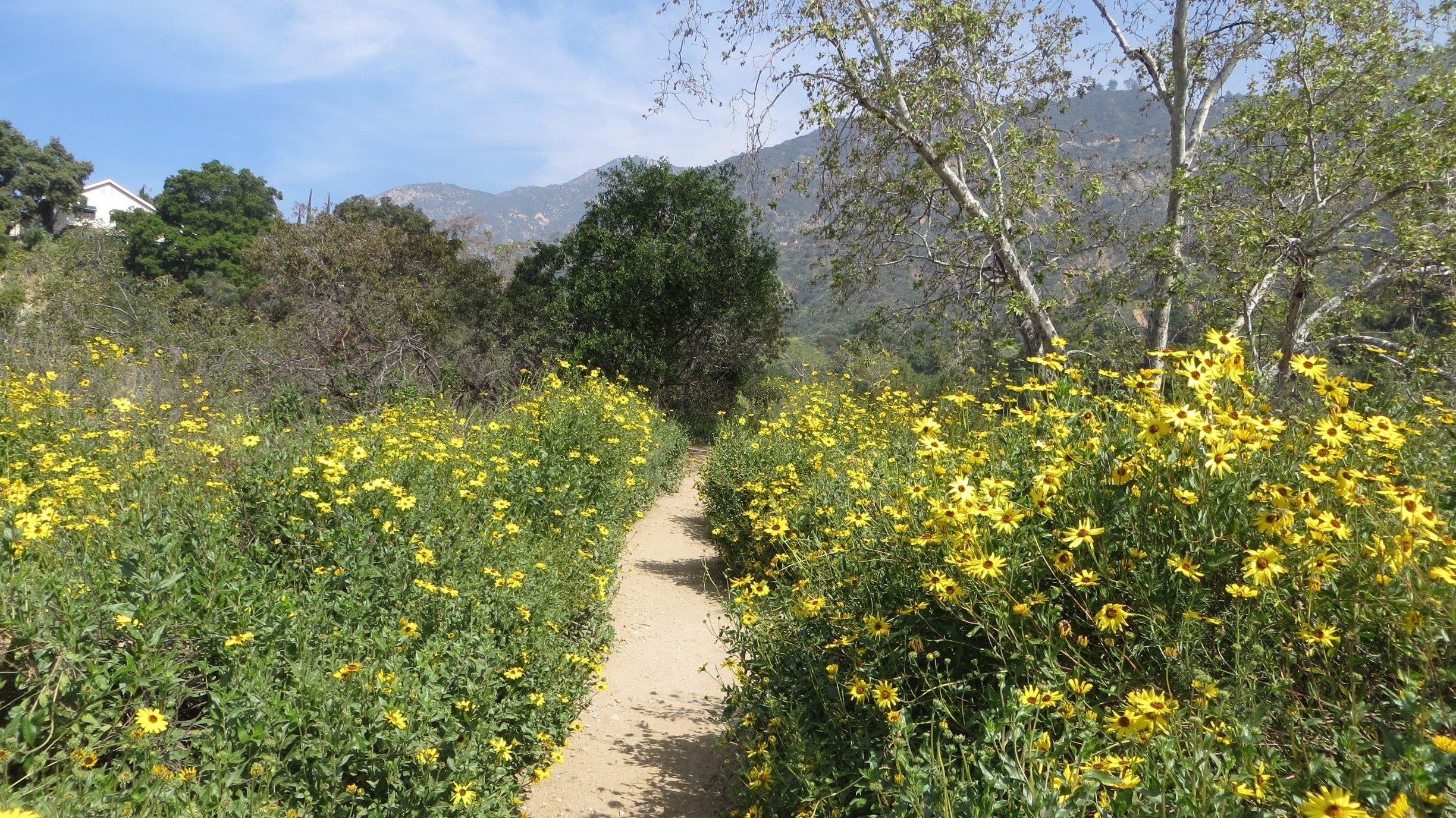 Mount Wilson, California, US