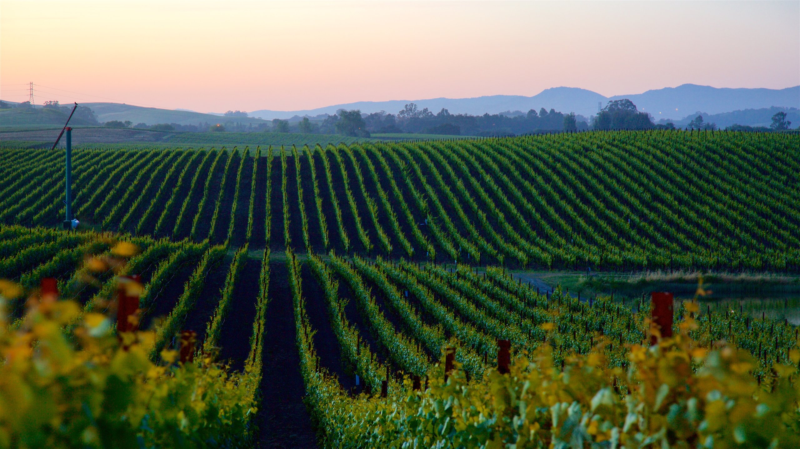 Napa, California, US