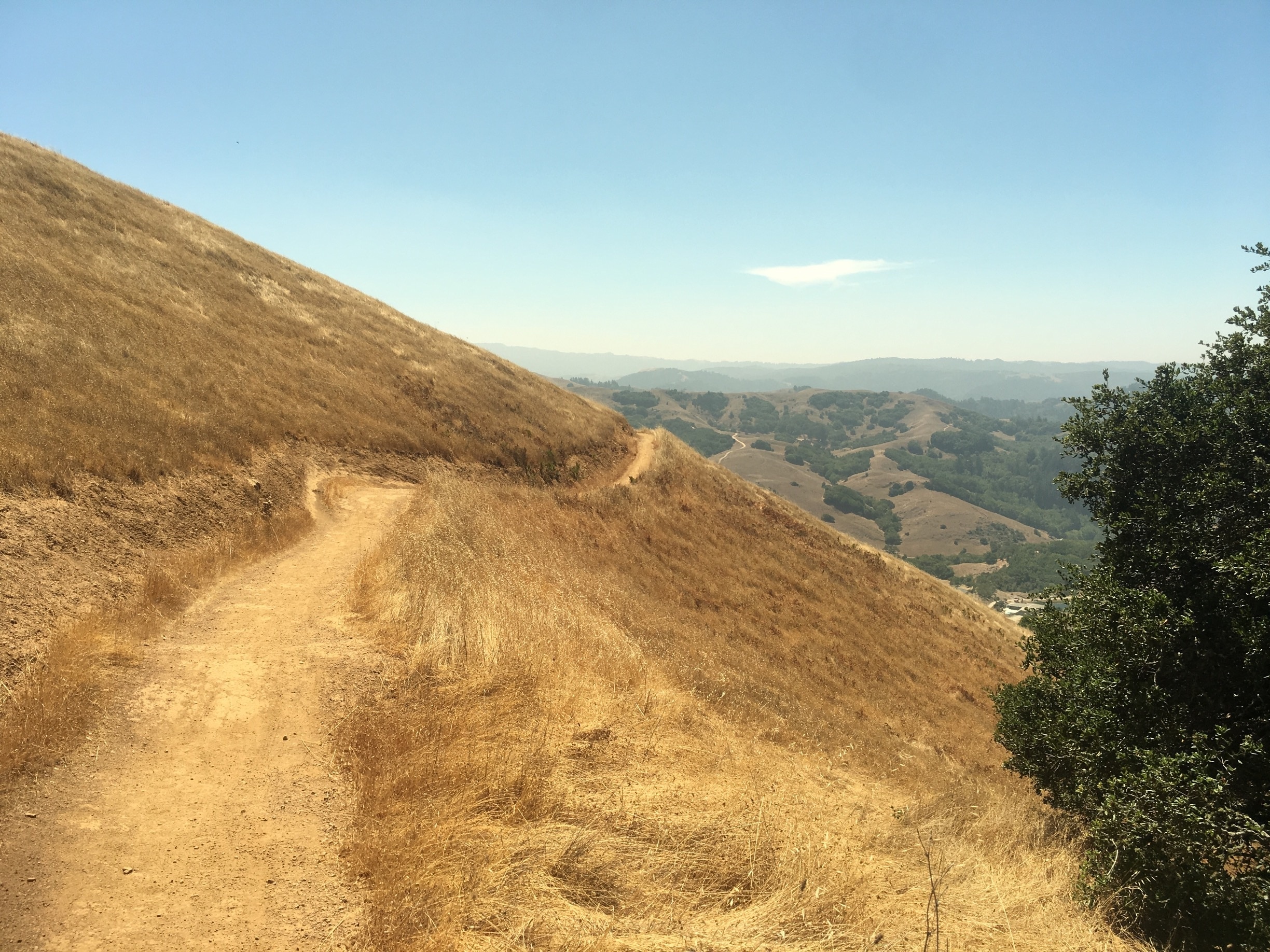 San Anselmo, California, US