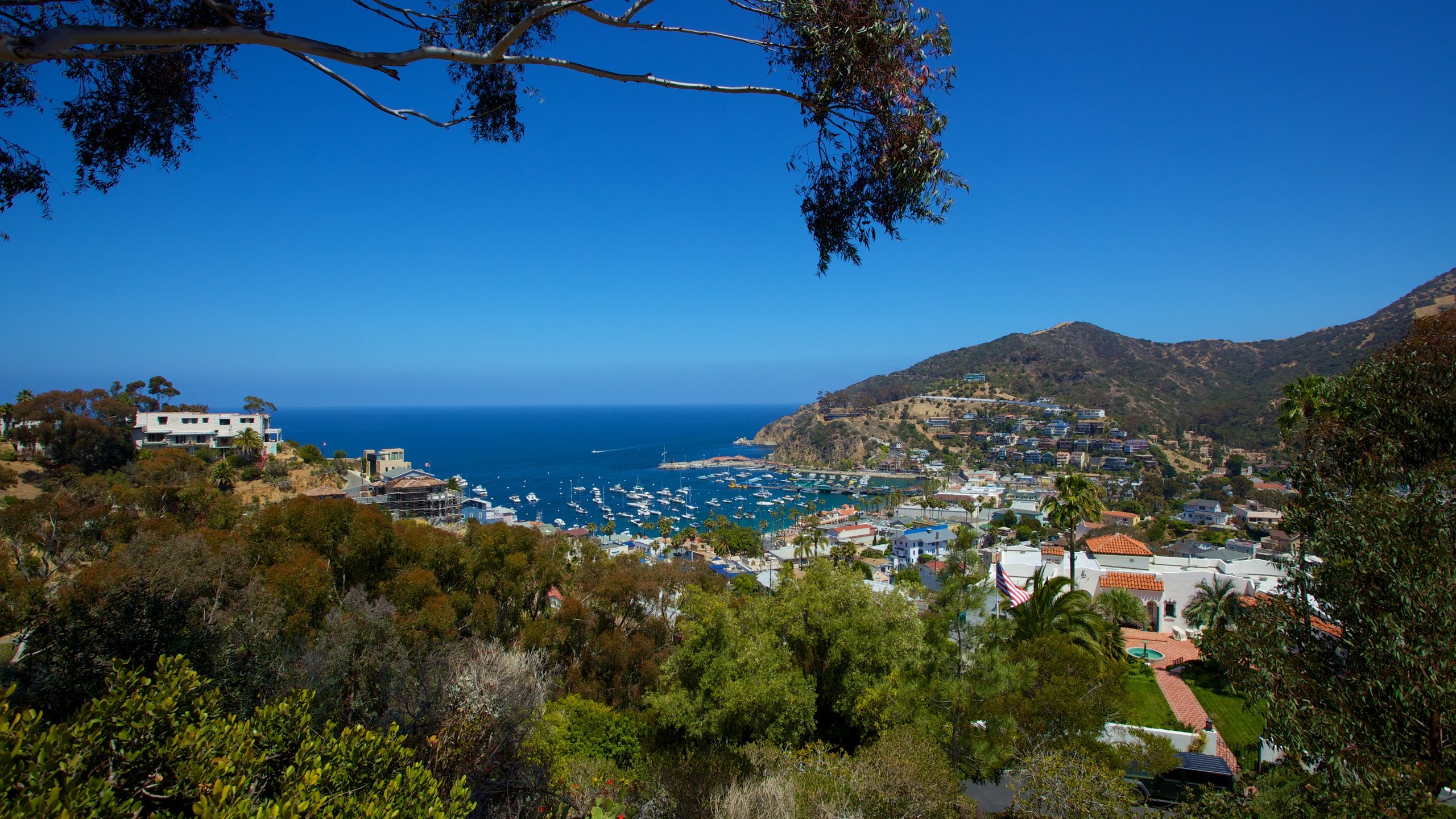 Santa Catalina Island, California, US