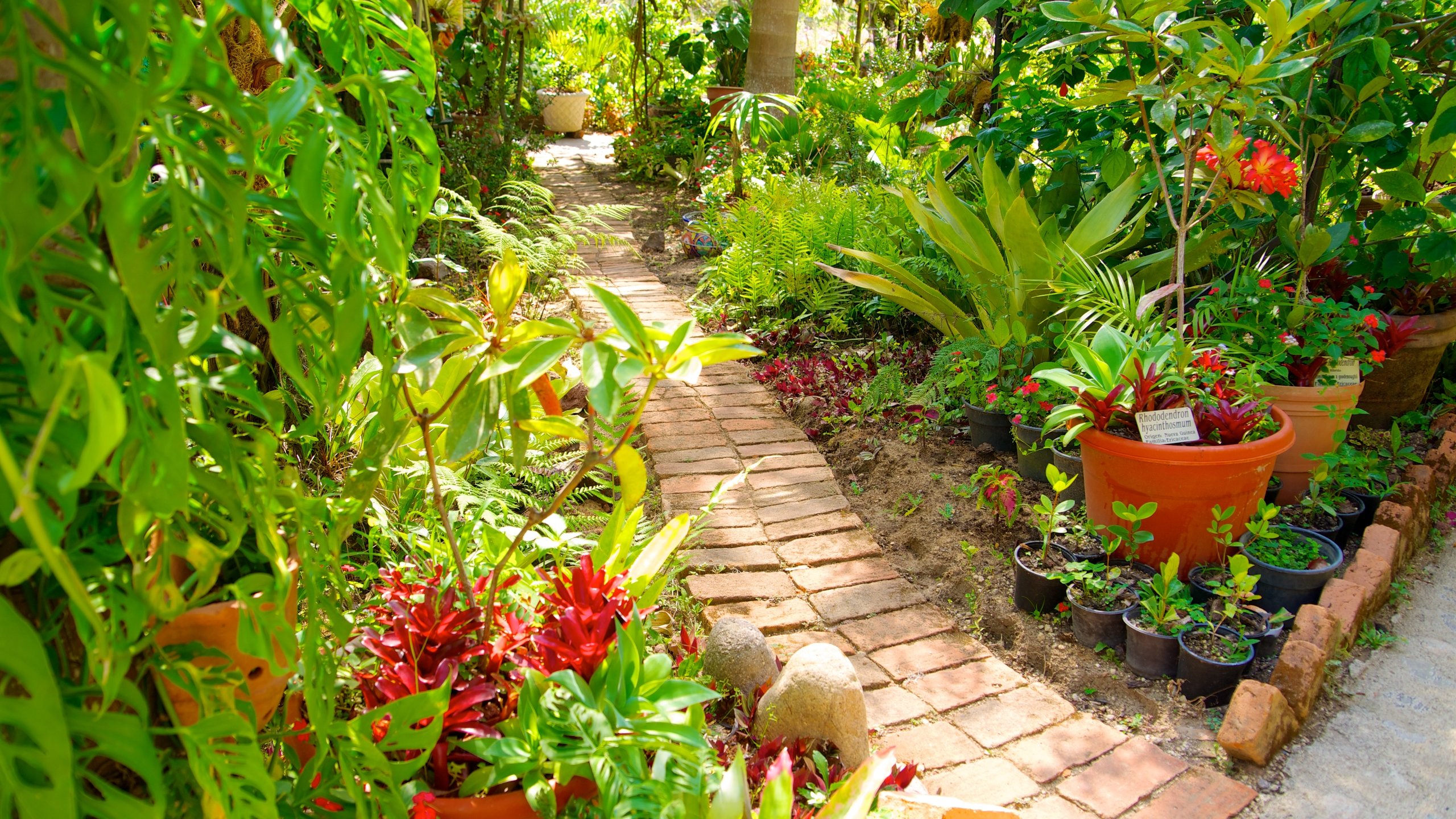 Villa del Sol d'Oro, Sierra Madre, California, US