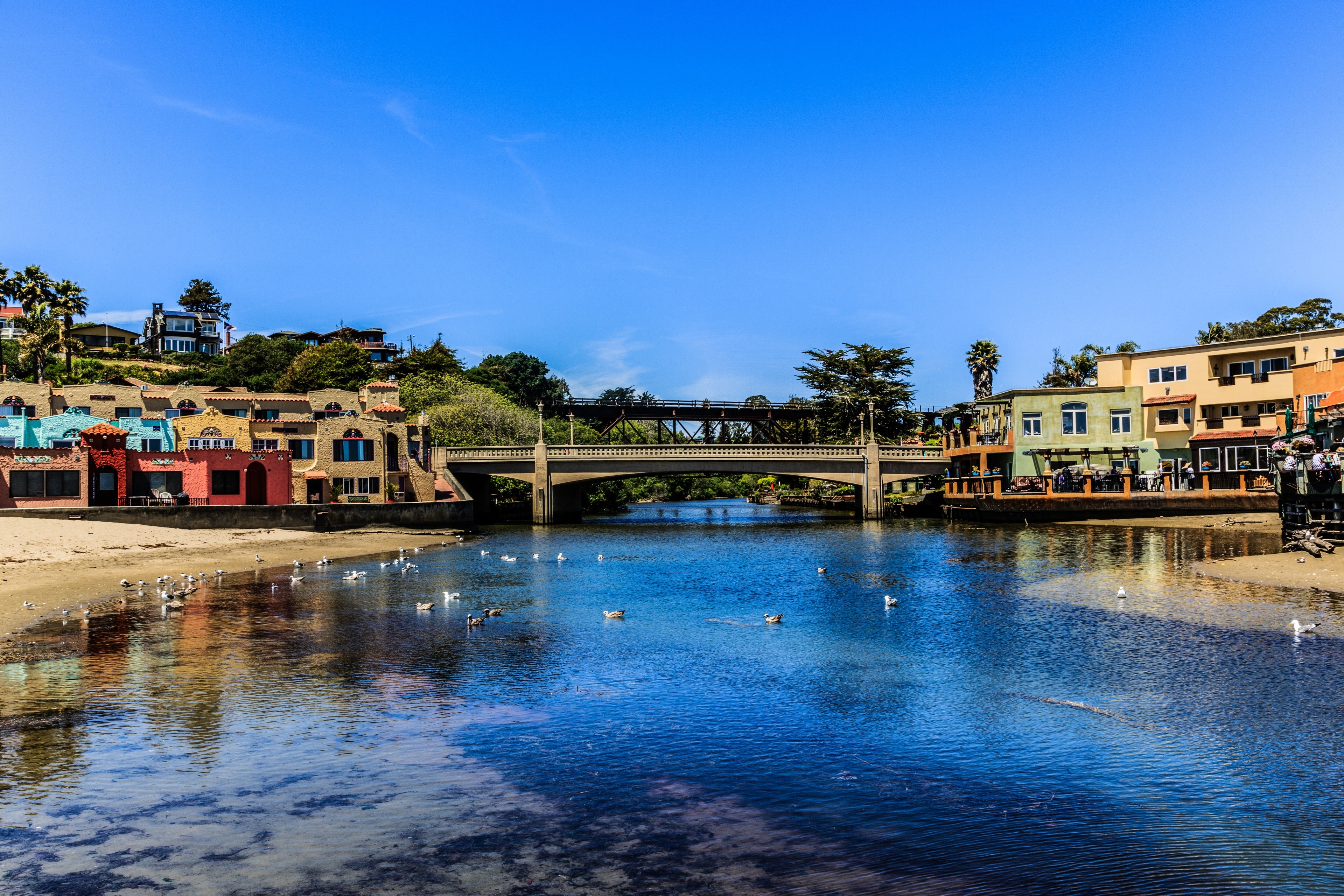 University of the Pacific, Stockton, California, US