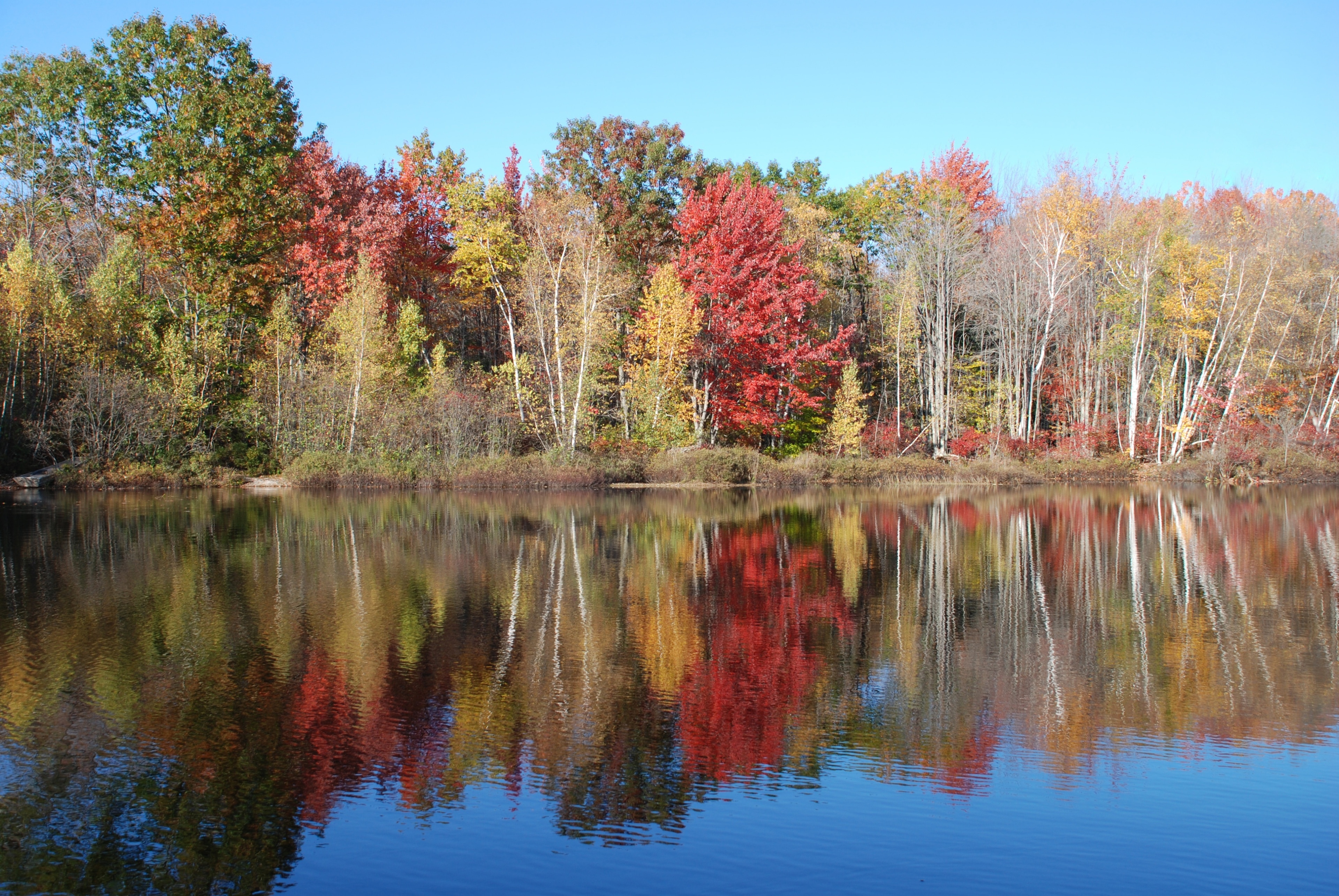 Raymond, Georgia, US