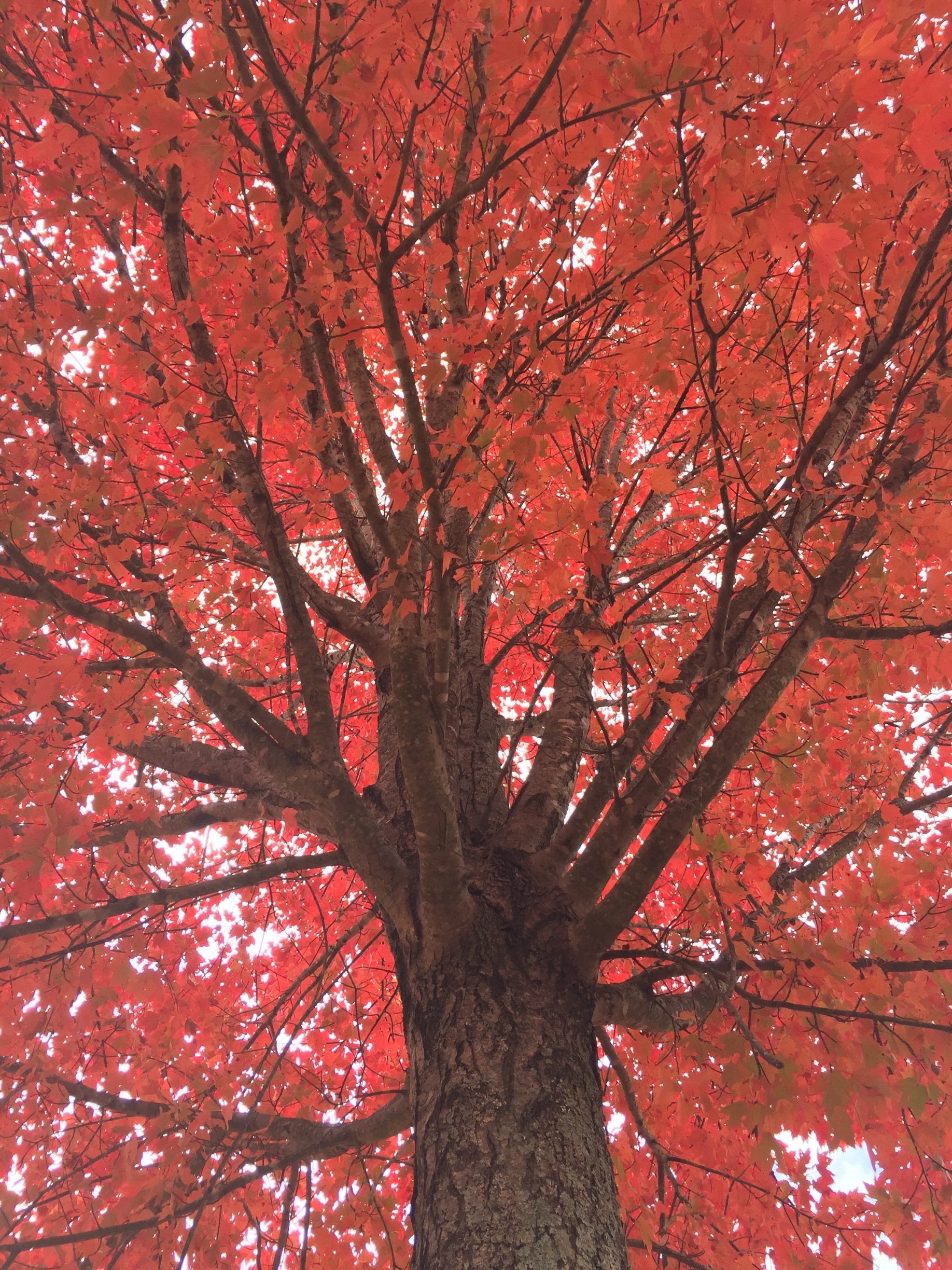 Stockbridge, Georgia, US