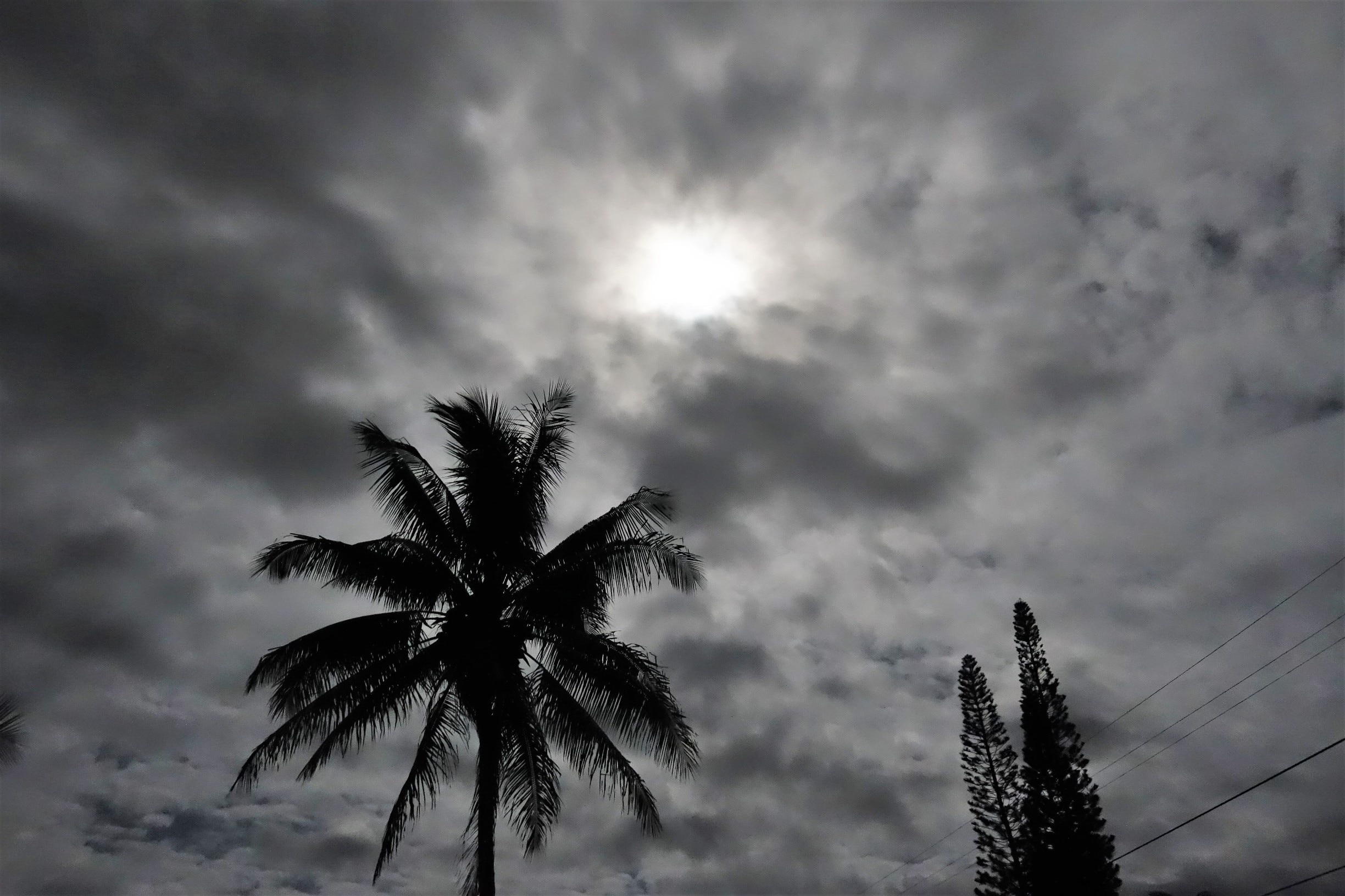 Kea'au, Keaau, Hawaii, US